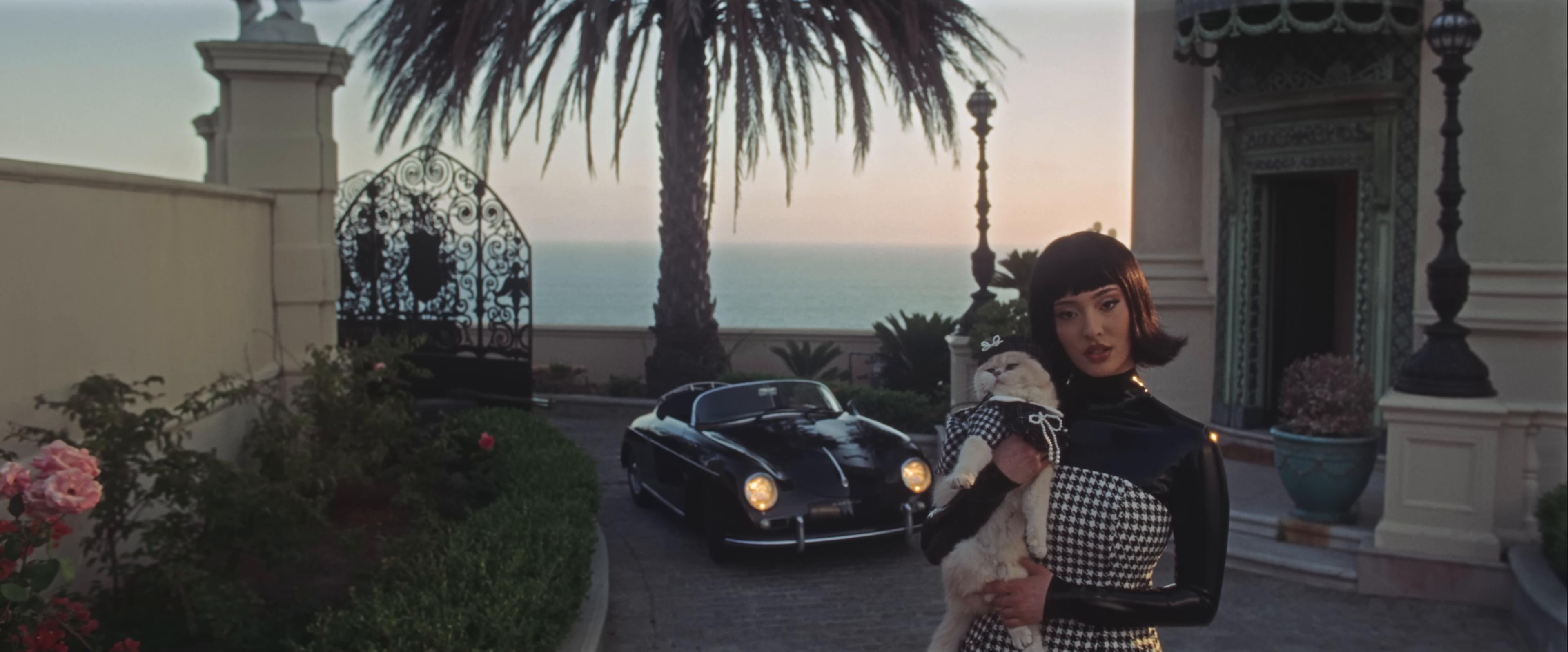 PEACE & VIOLENCE (2025) —  shot,  lighting