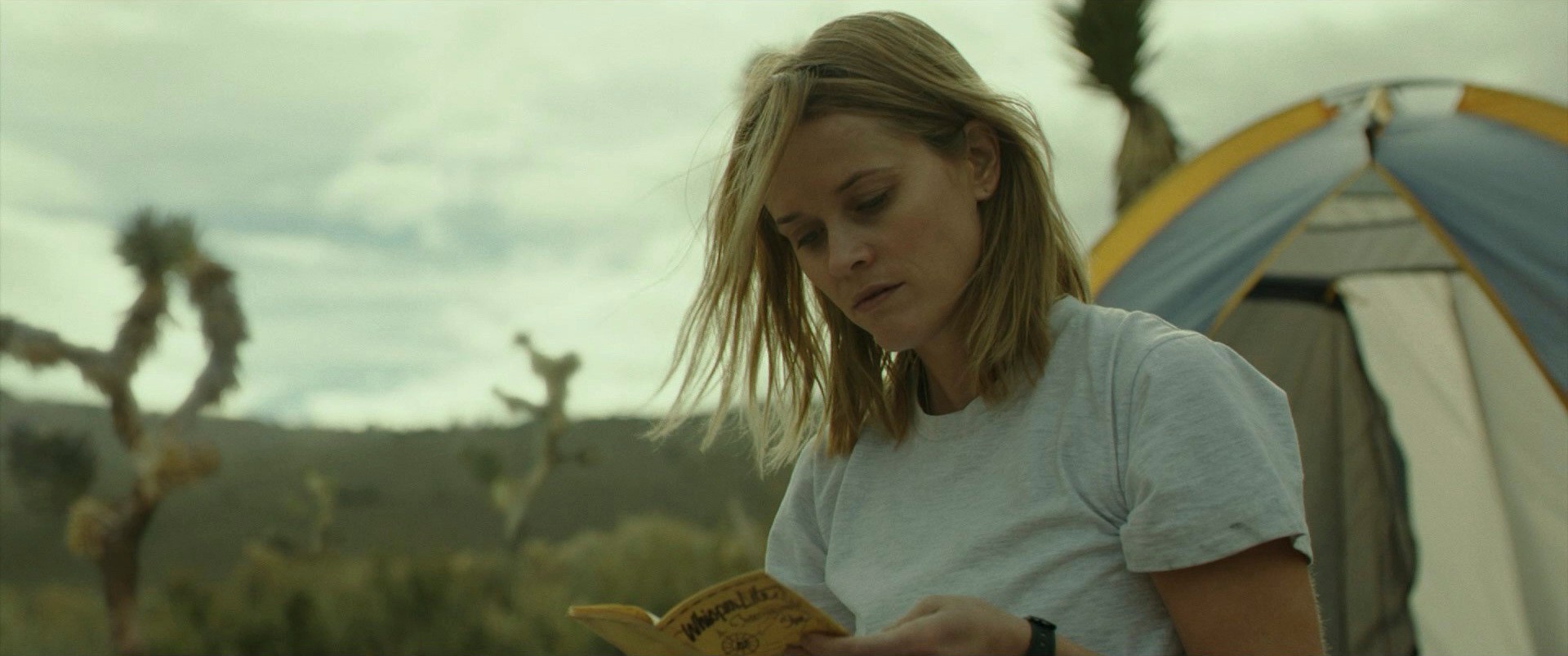 Wild (2014) —  shot,  lighting