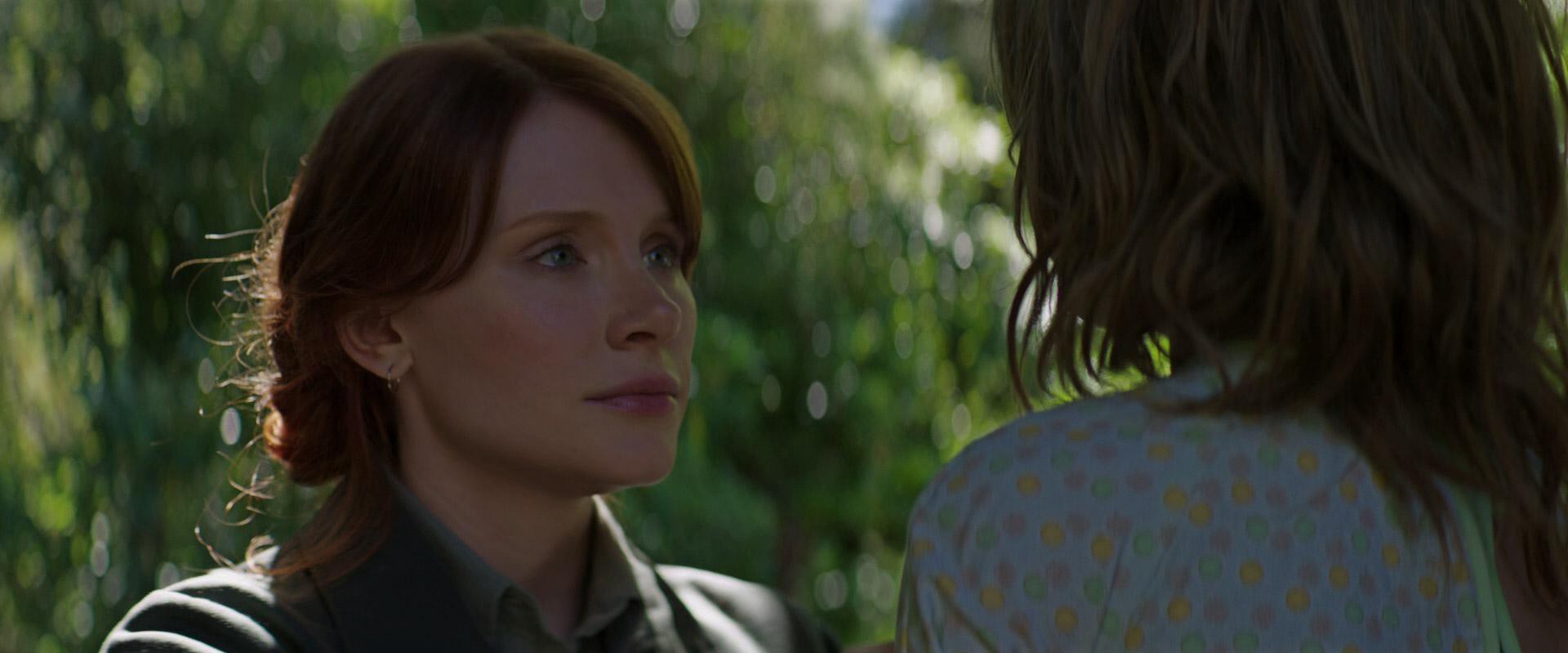 Pete's Dragon (2016) —  shot,  lighting