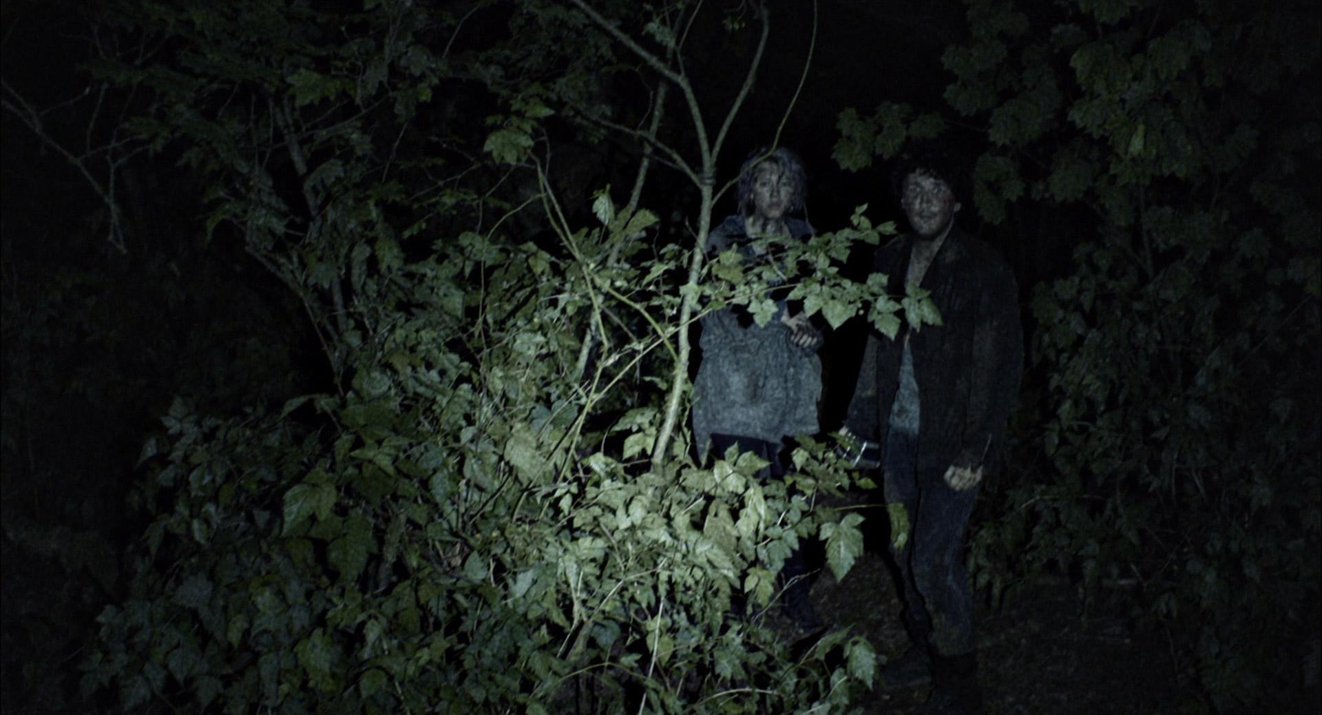 Blair Witch (2016) —  shot,  lighting
