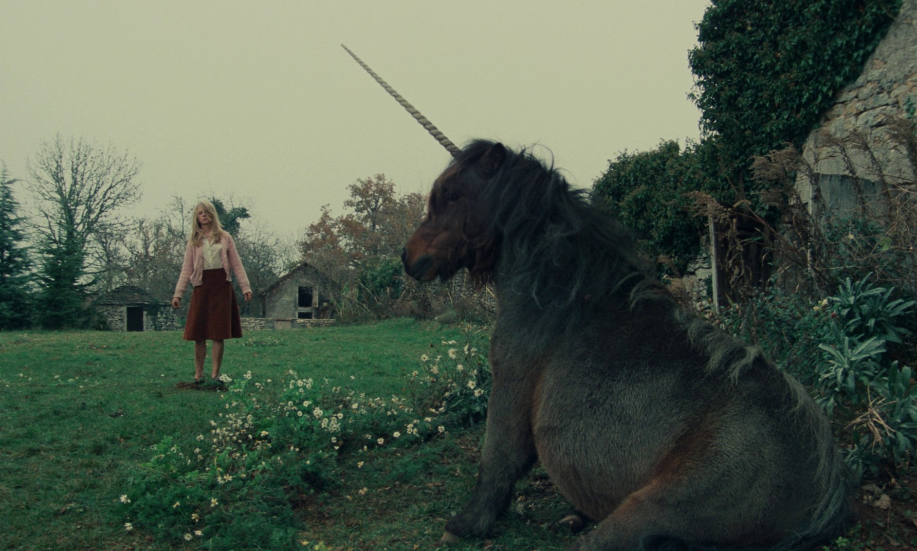 Black Moon (1975) —  shot,  lighting