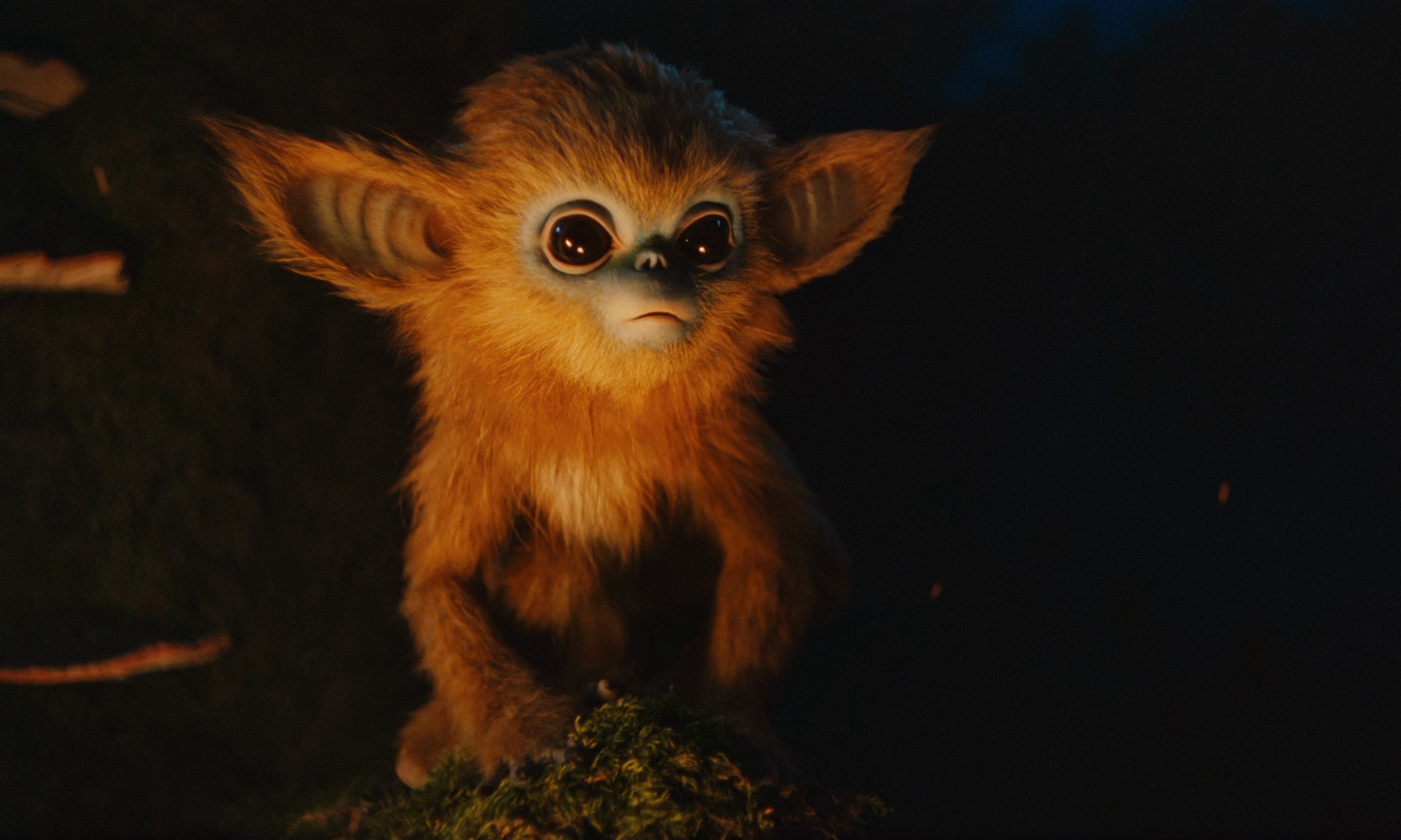 The Legend of Ochi (2025) —  shot,  lighting