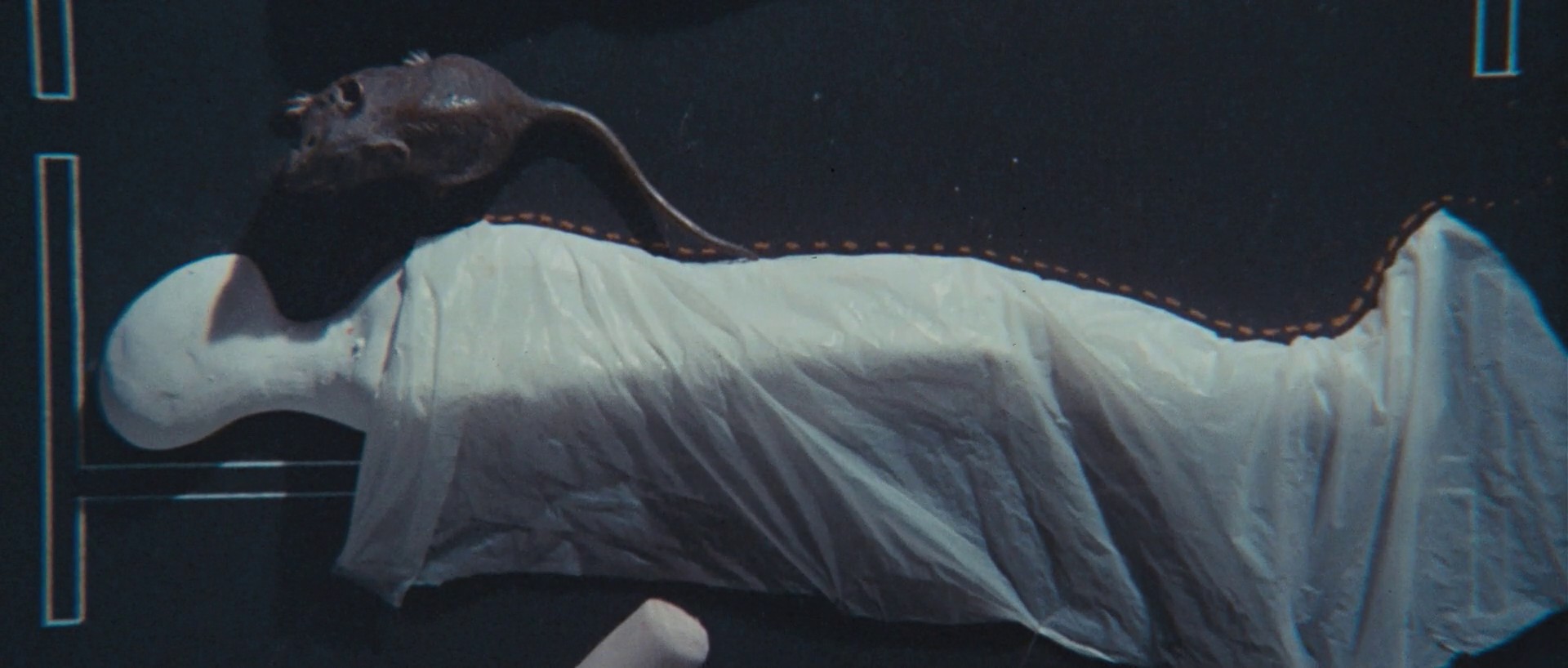 The Holy Mountain (1973) —  shot,  lighting