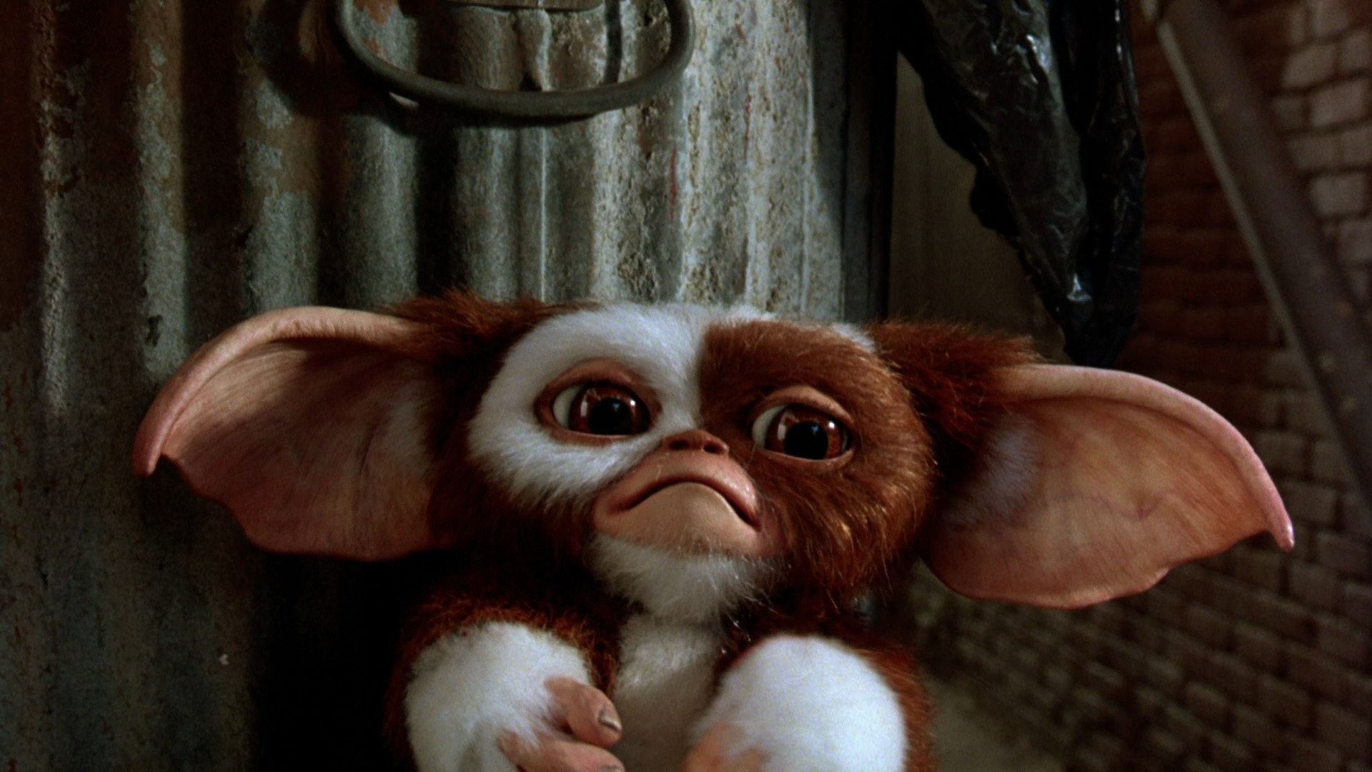 Gremlins 2: The New Batch (1990) —  shot,  lighting