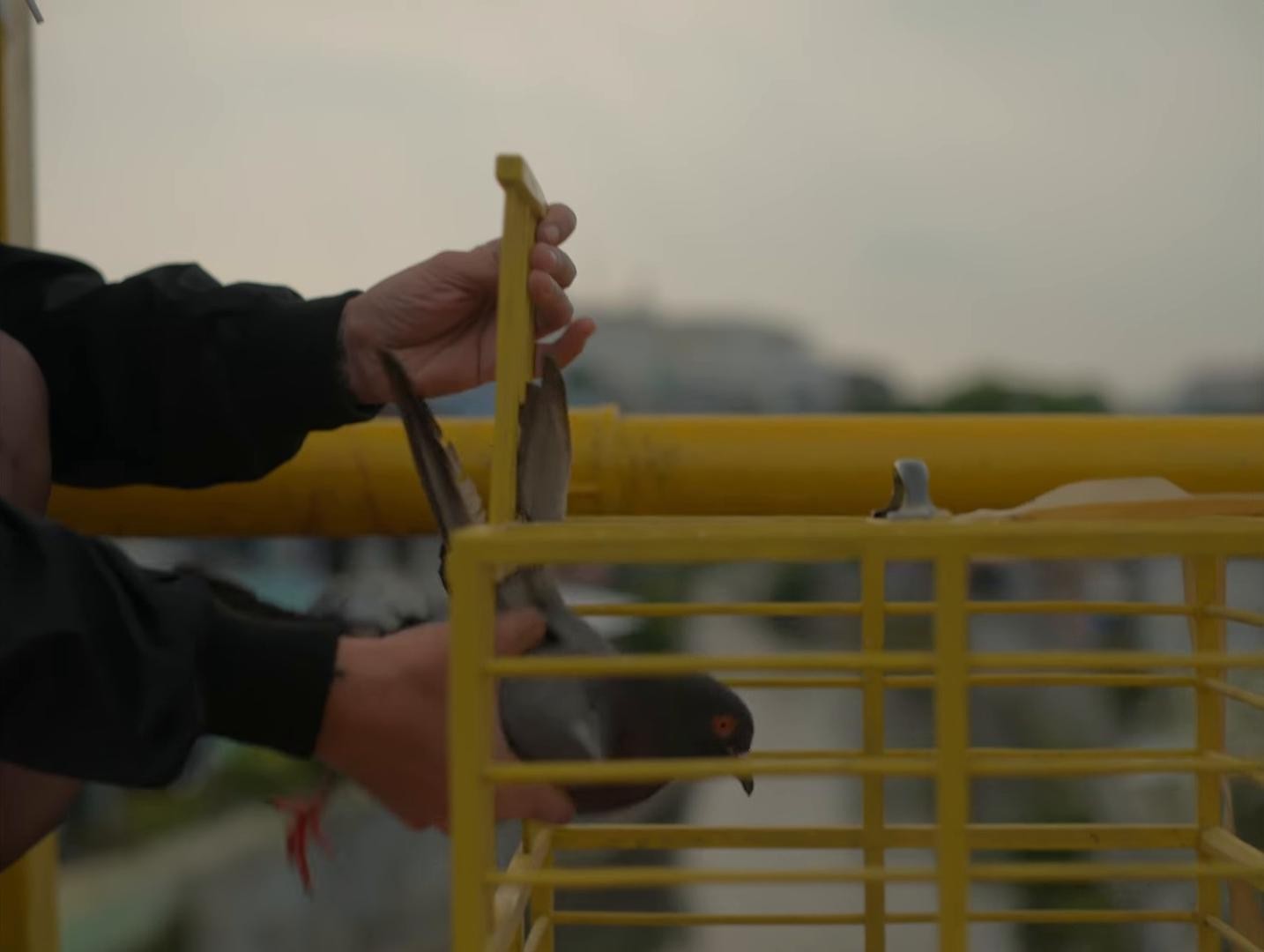 WE ARE STILL TOGETHER  (2025) —  shot,  lighting