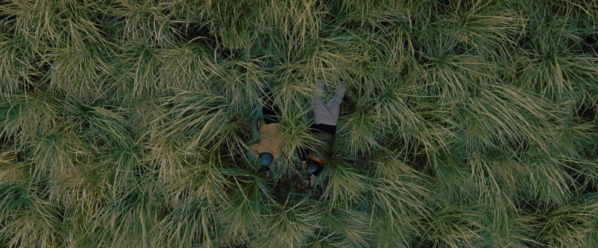 Stoker (2013) —  shot,  lighting