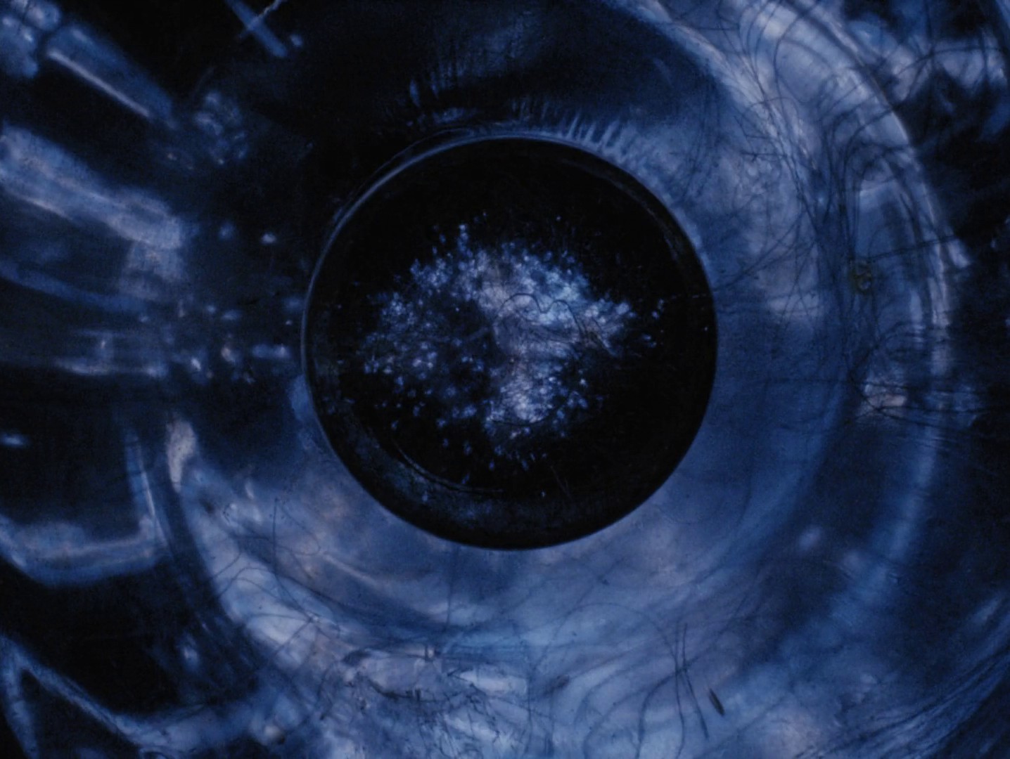 Blonde (2022) —  shot,  lighting