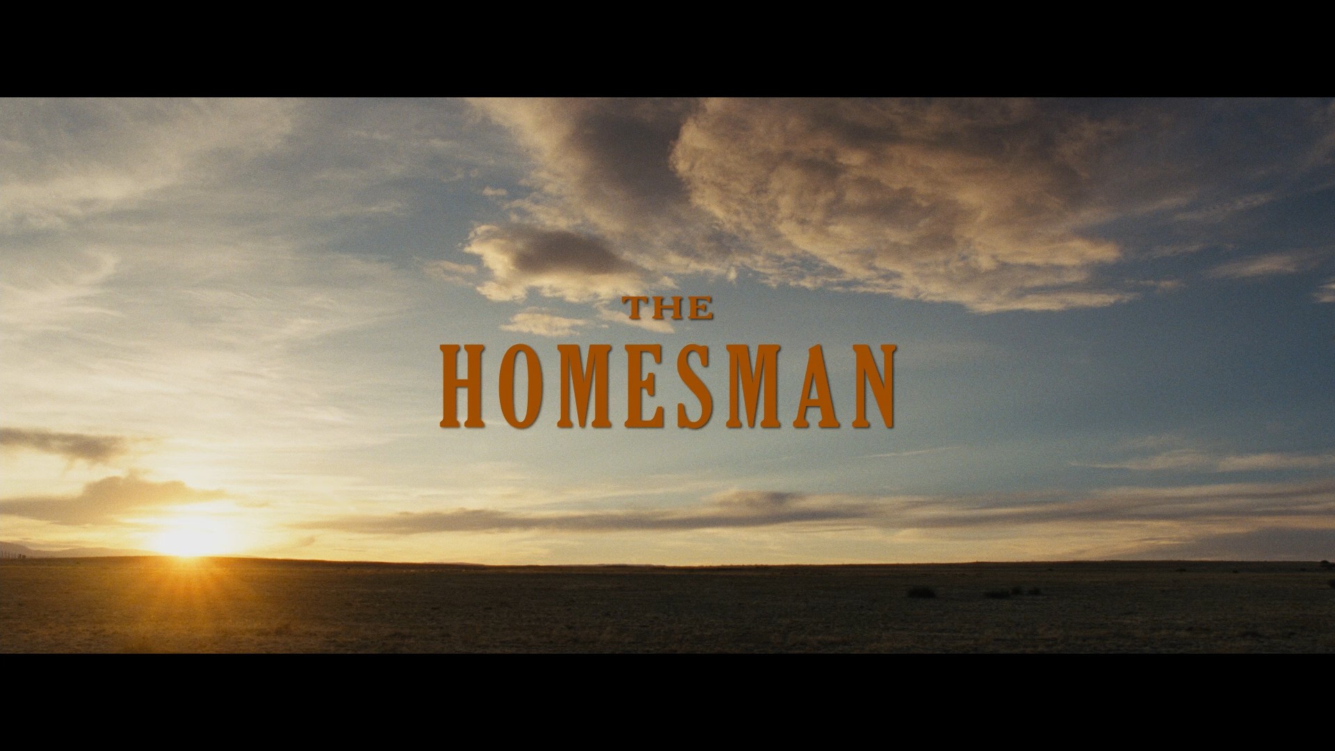 The Homesman (2014) —  shot,  lighting