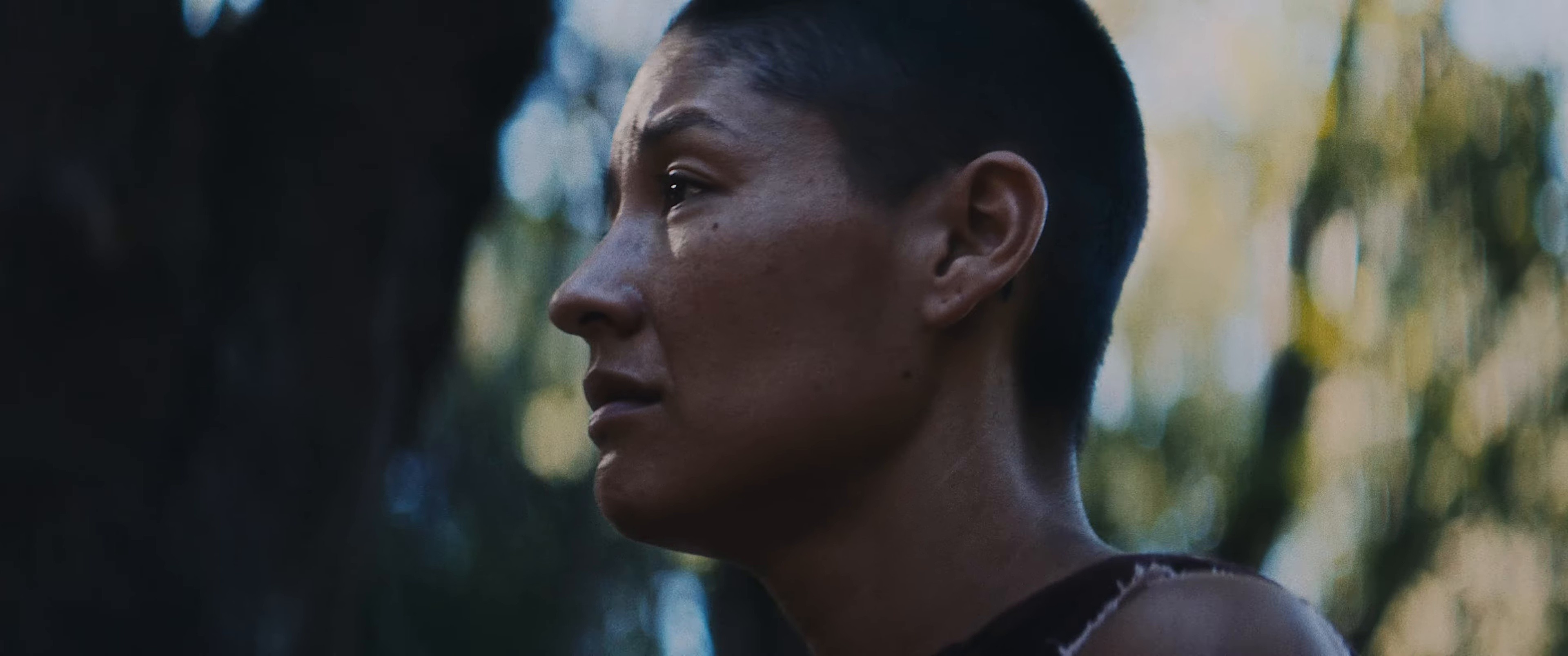 Hole  (2025) —  shot,  lighting