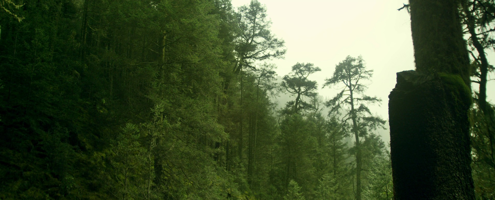 Dis (2018) —  shot,  lighting