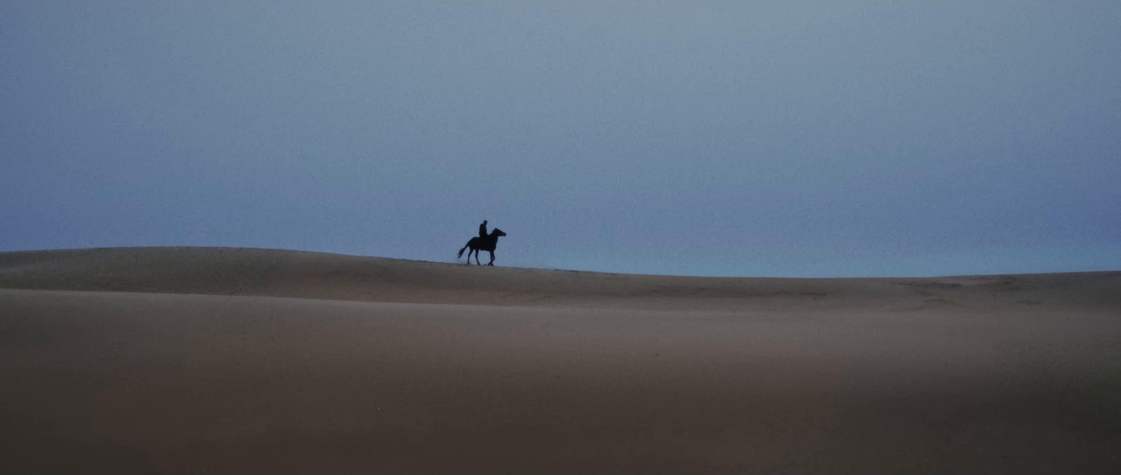 Wesley  (2025) —  shot,  lighting