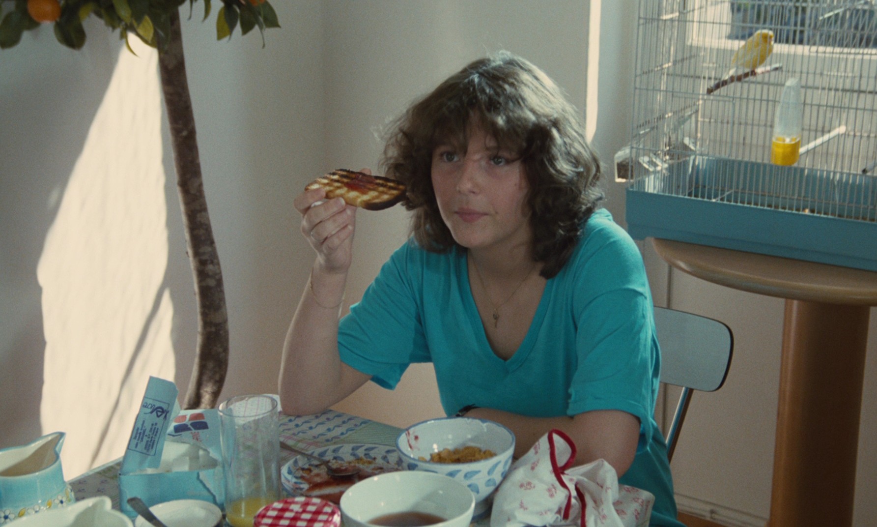 The Party 2 (1982) —  shot,  lighting