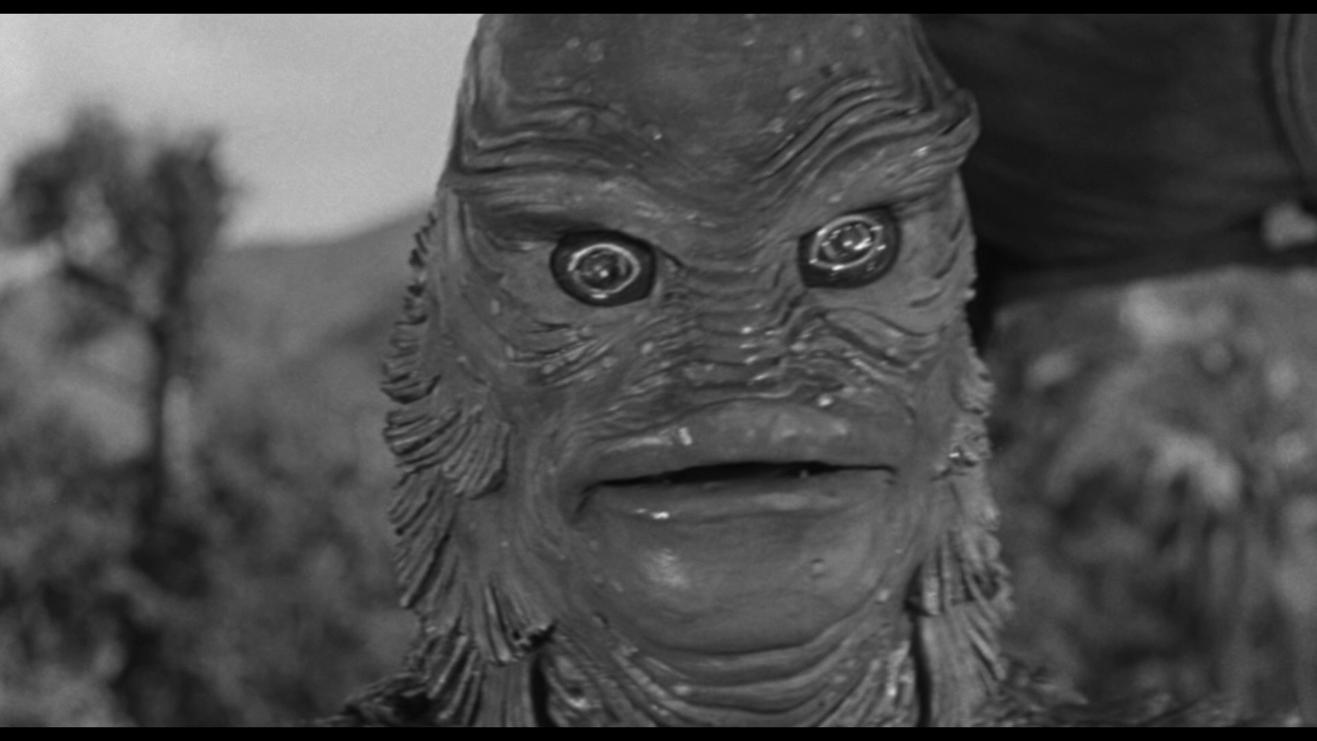 Creature from the Black Lagoon (1954) —  shot,  lighting