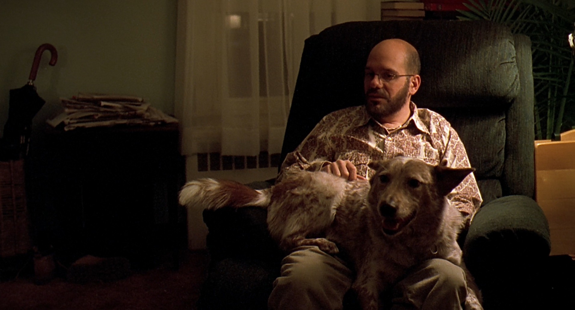 Eternal Sunshine of the Spotless Mind (2004) —  shot,  lighting