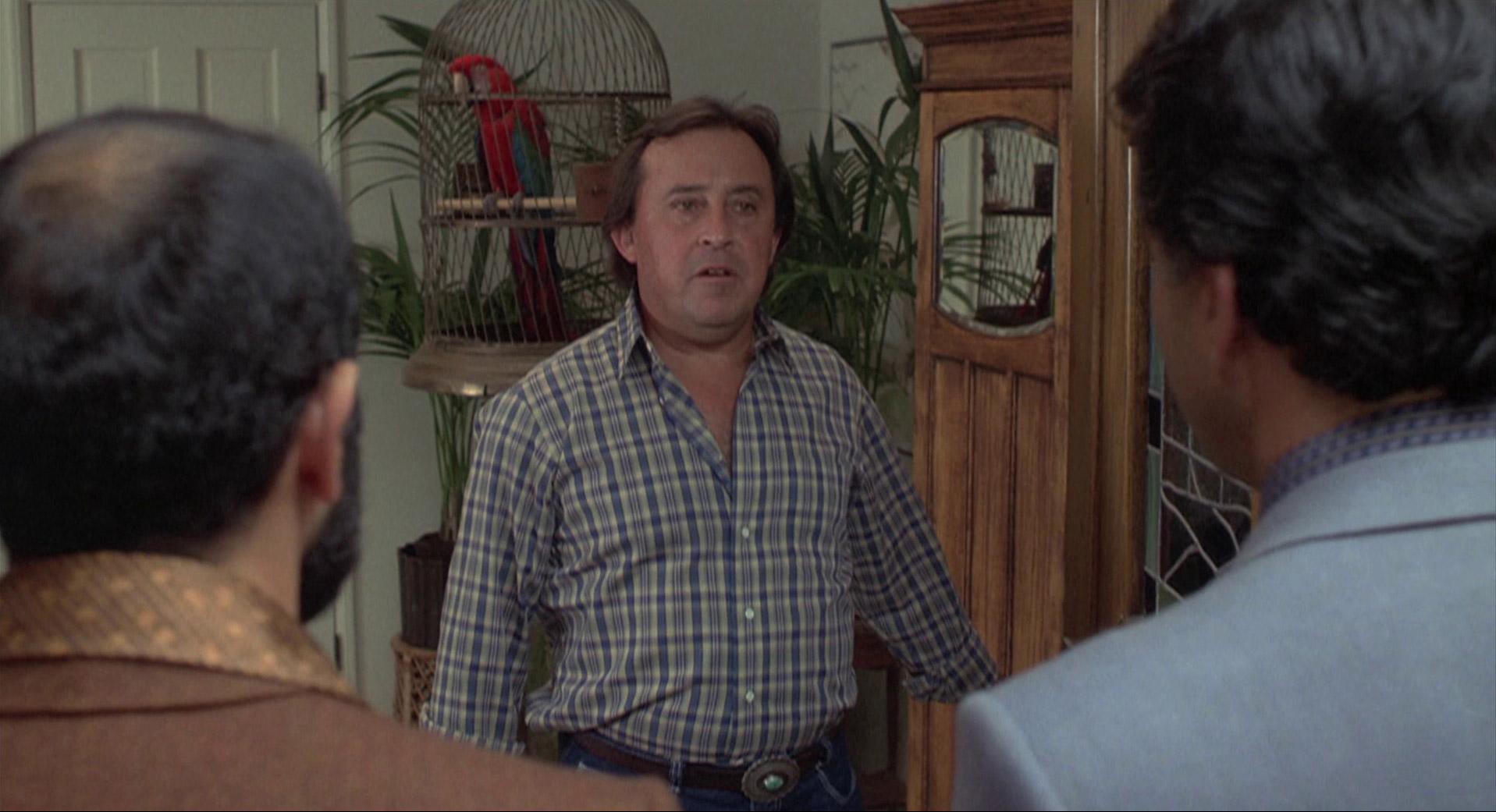 Into the Night (1985) —  shot,  lighting