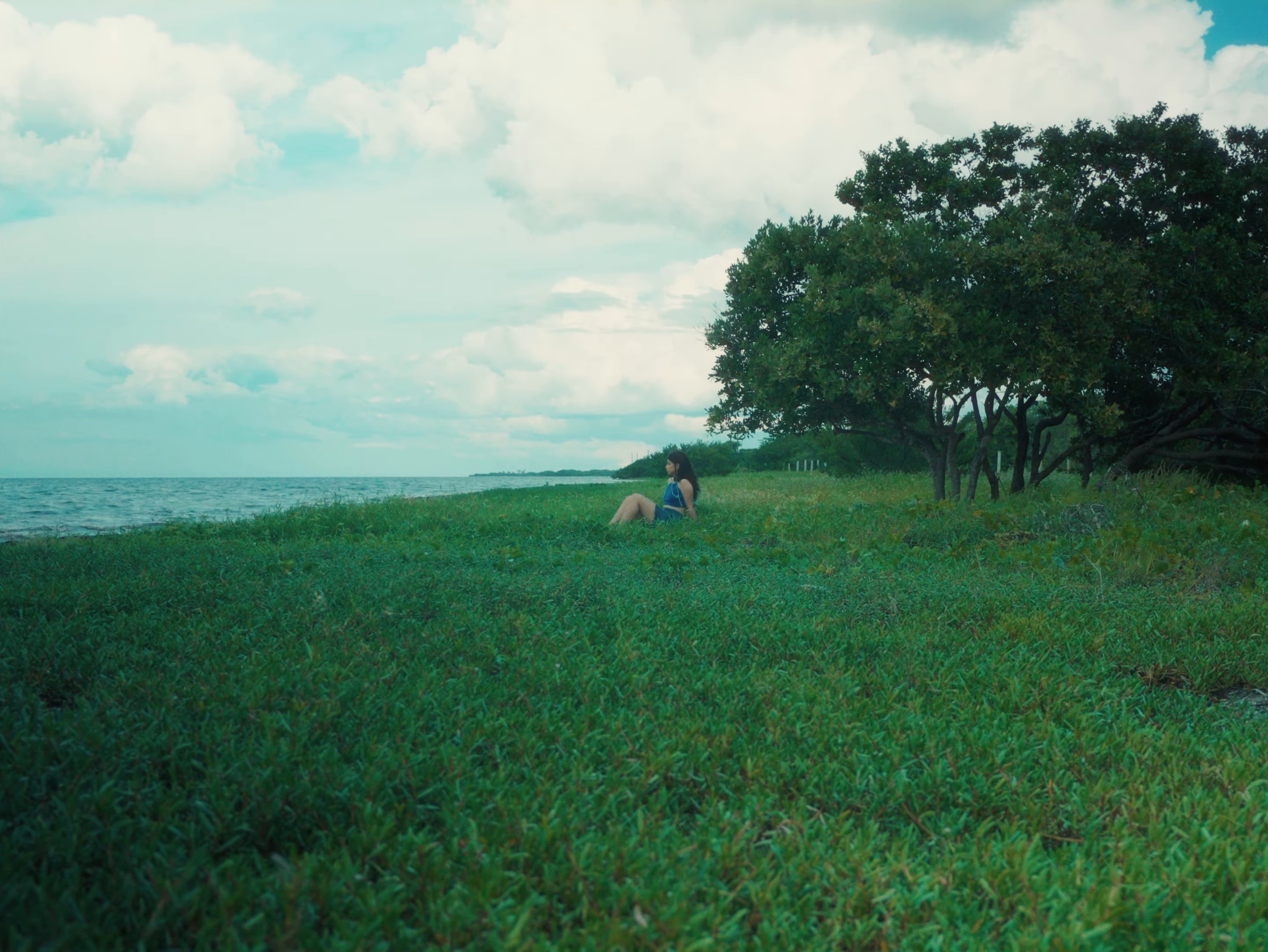 Gondwana (2024) —  shot,  lighting