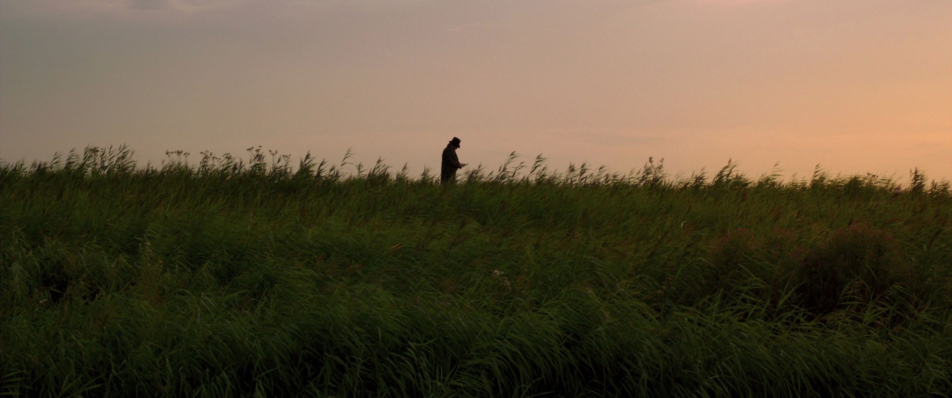 Mr. Turner (2014) —  shot,  lighting