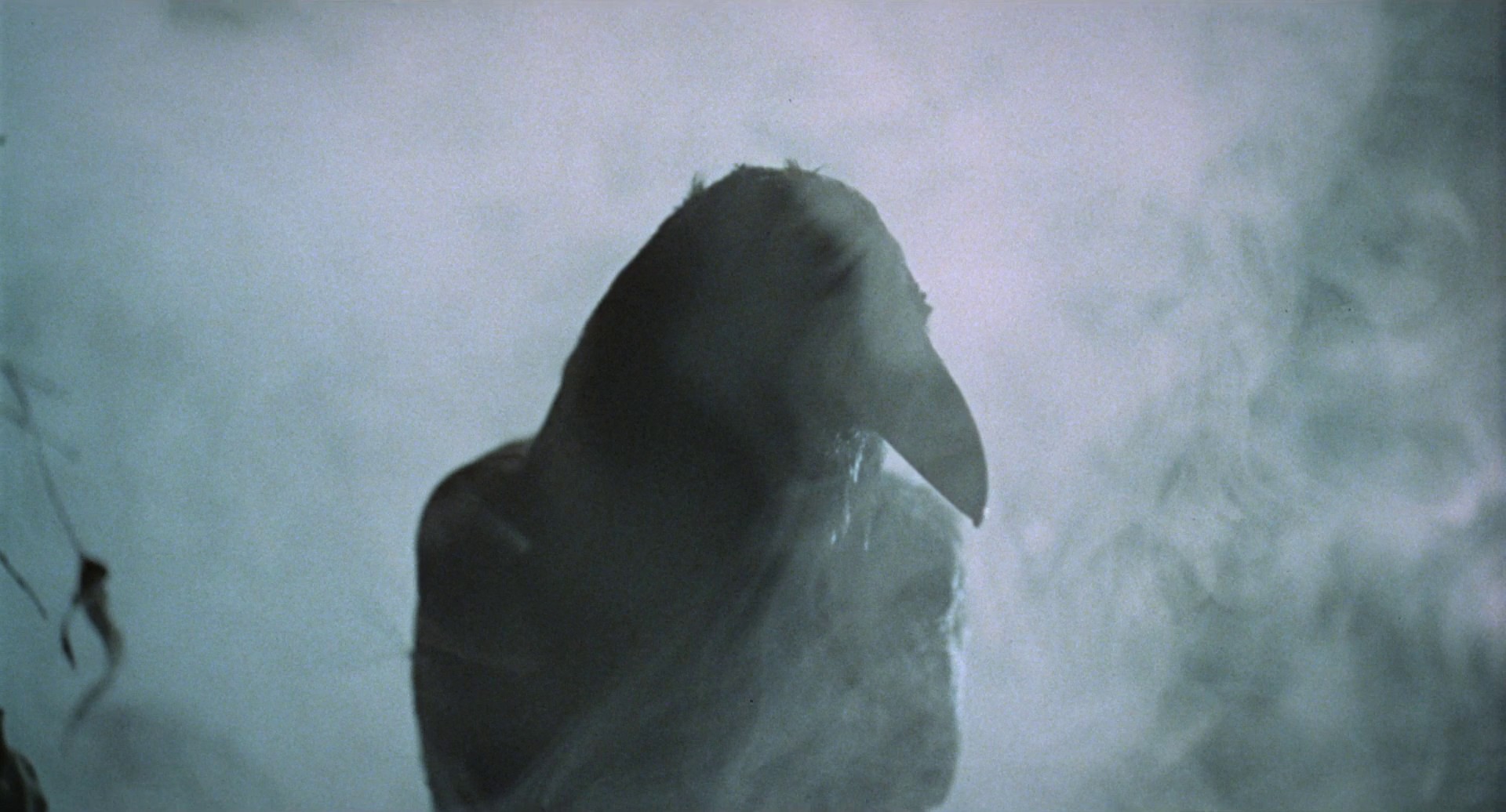 Orgy of the Dead (1965) —  shot,  lighting