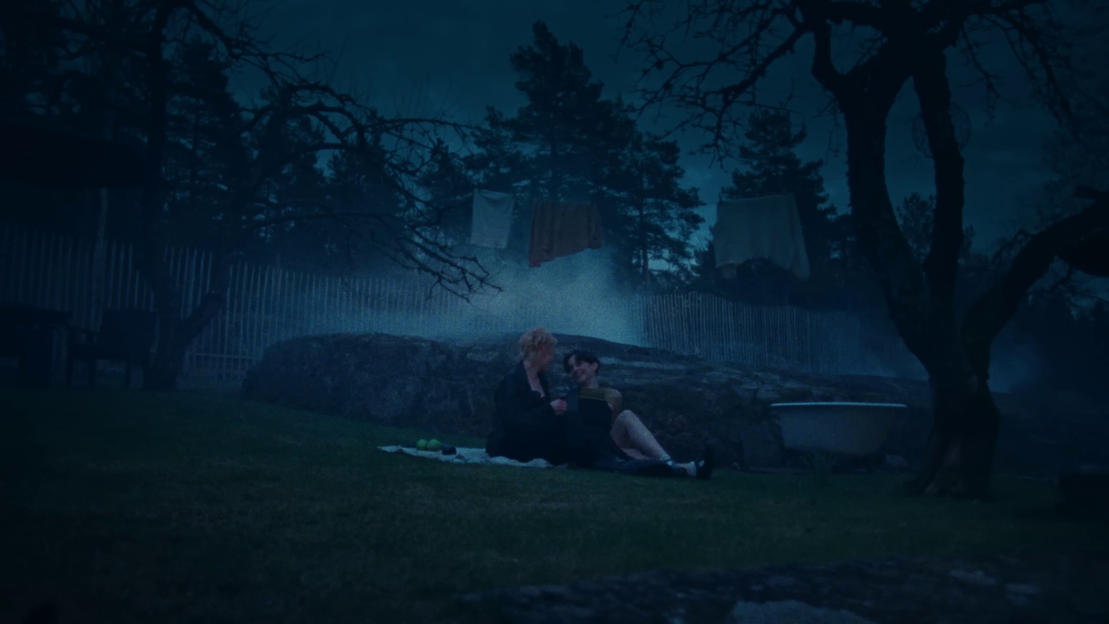 Queen of the Night (2024) —  shot,  lighting