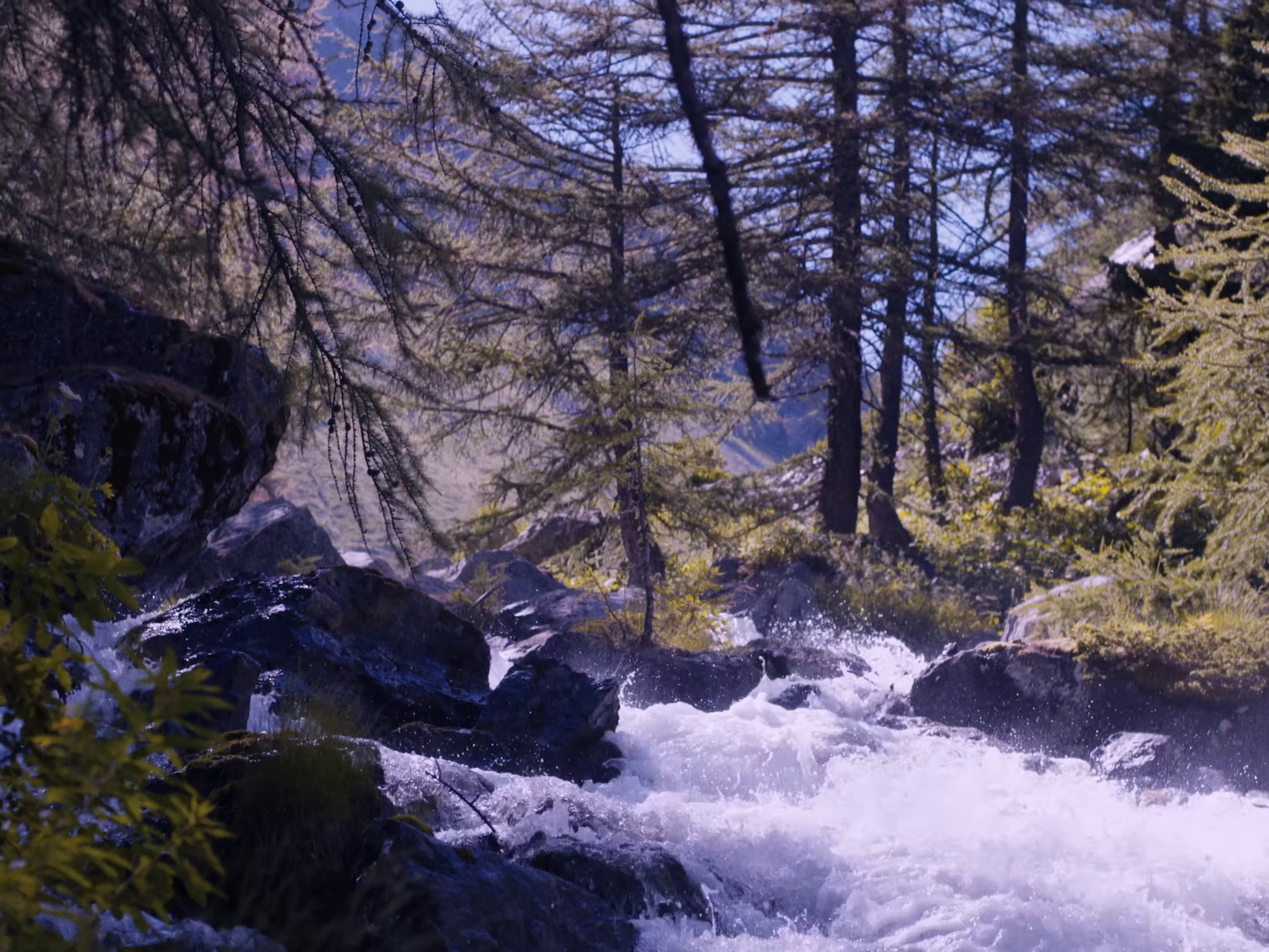 Si l'on ride (2016) —  shot,  lighting