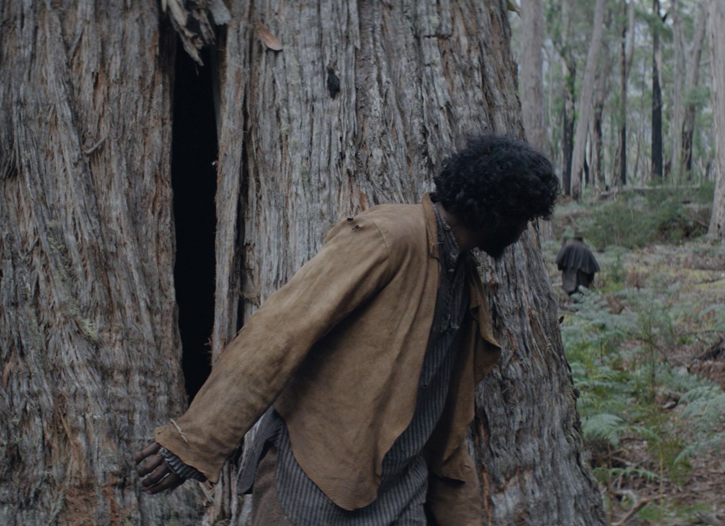 The Nightingale (2018) —  shot,  lighting