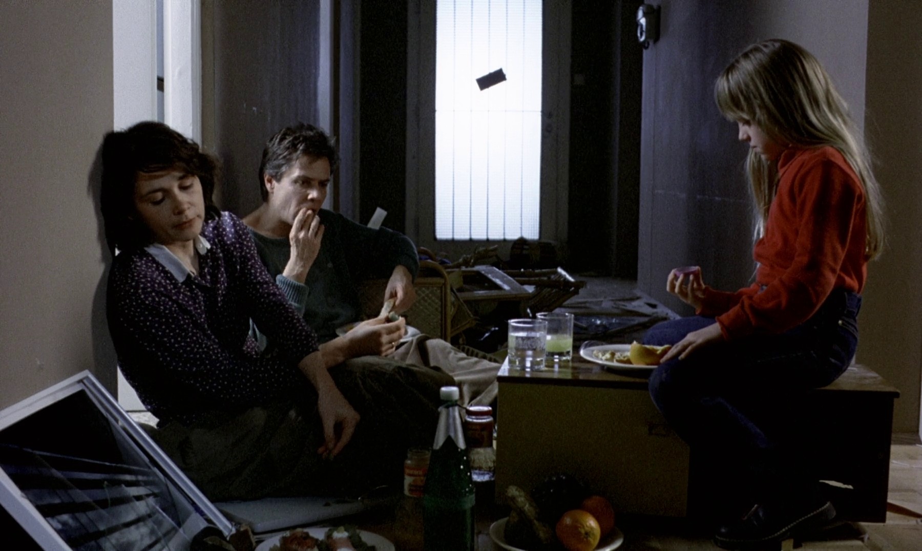 The Seventh Continent (1992) —  shot,  lighting