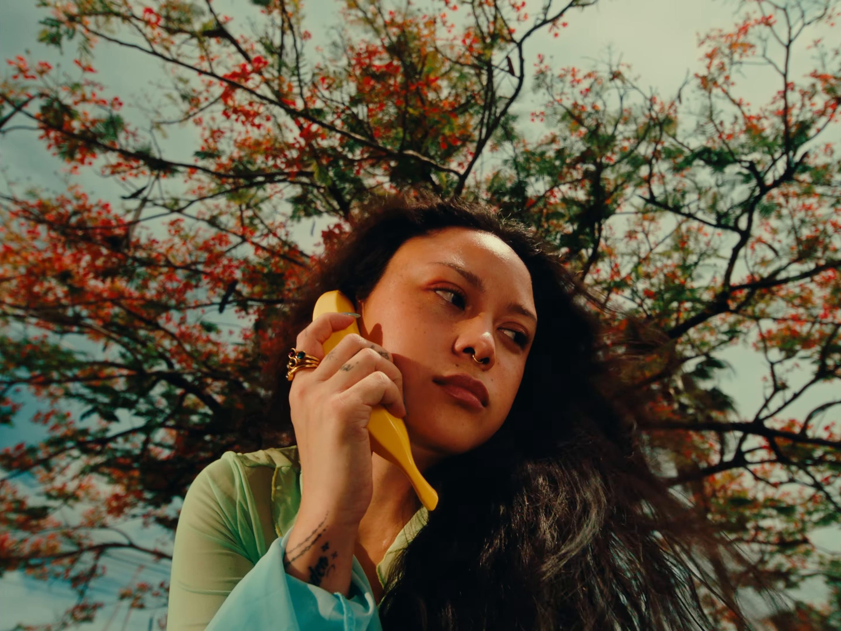 shine (2025) —  shot,  lighting