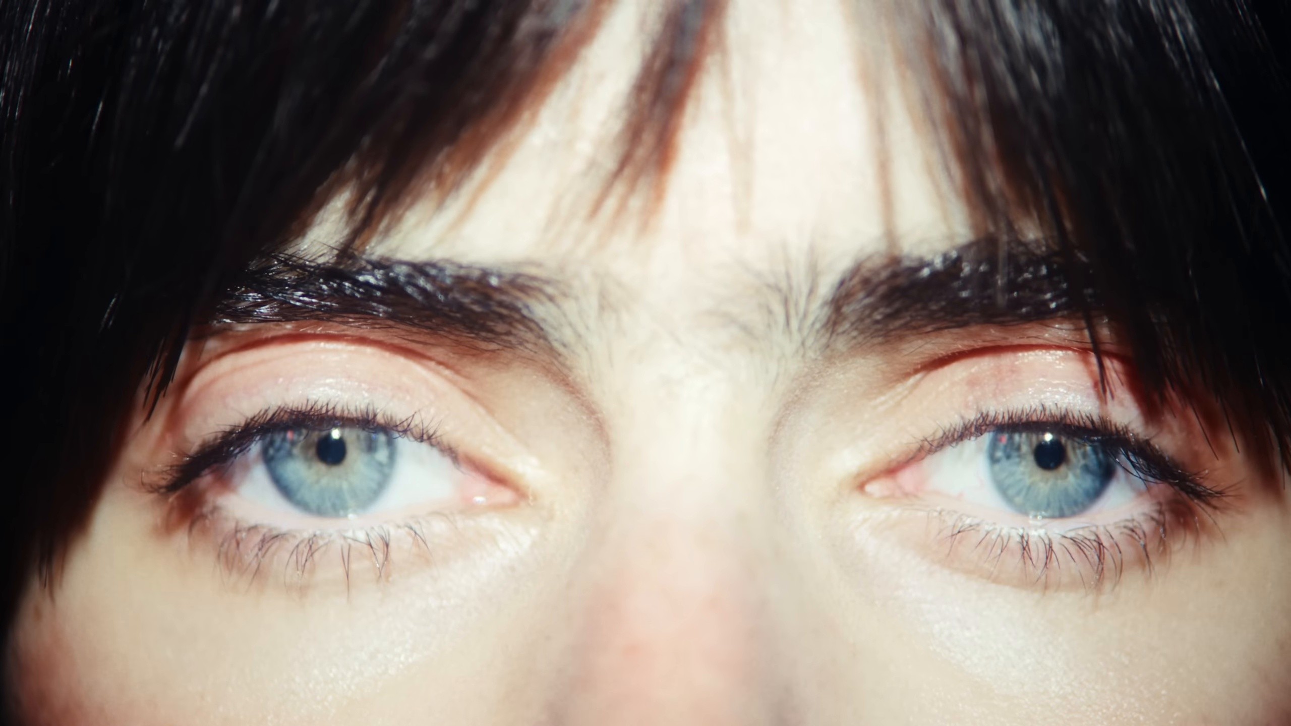 la maison (2025) —  shot,  lighting