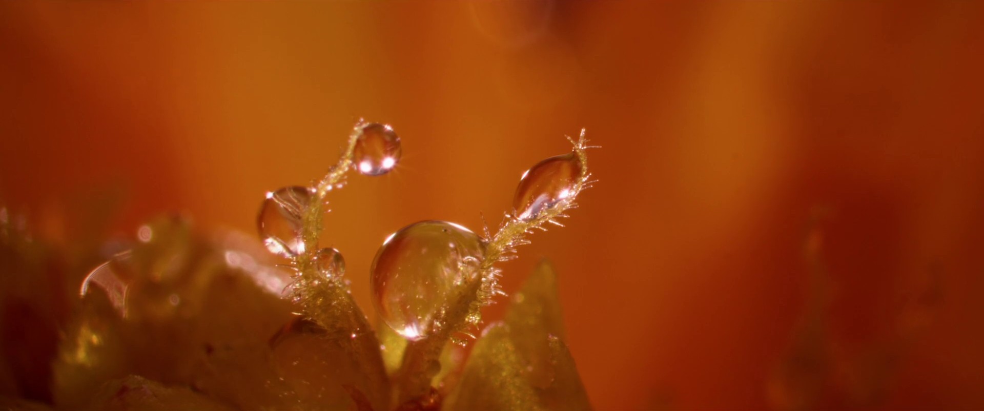 Polestar - Polestar 4 (2024) —  shot,  lighting