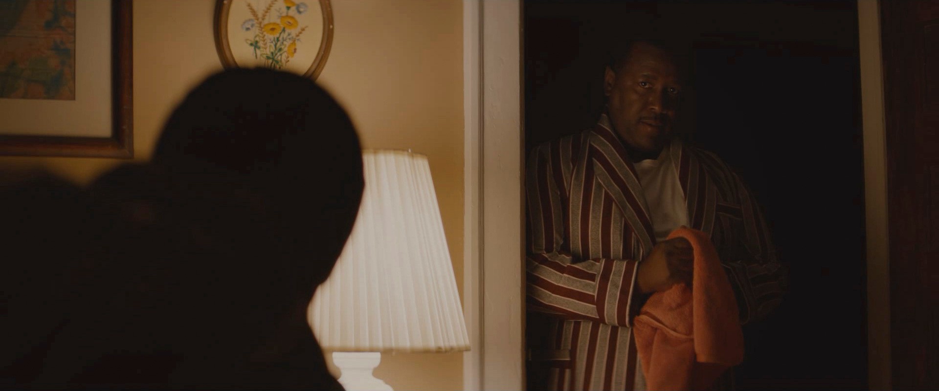 Selma (2014) —  shot,  lighting