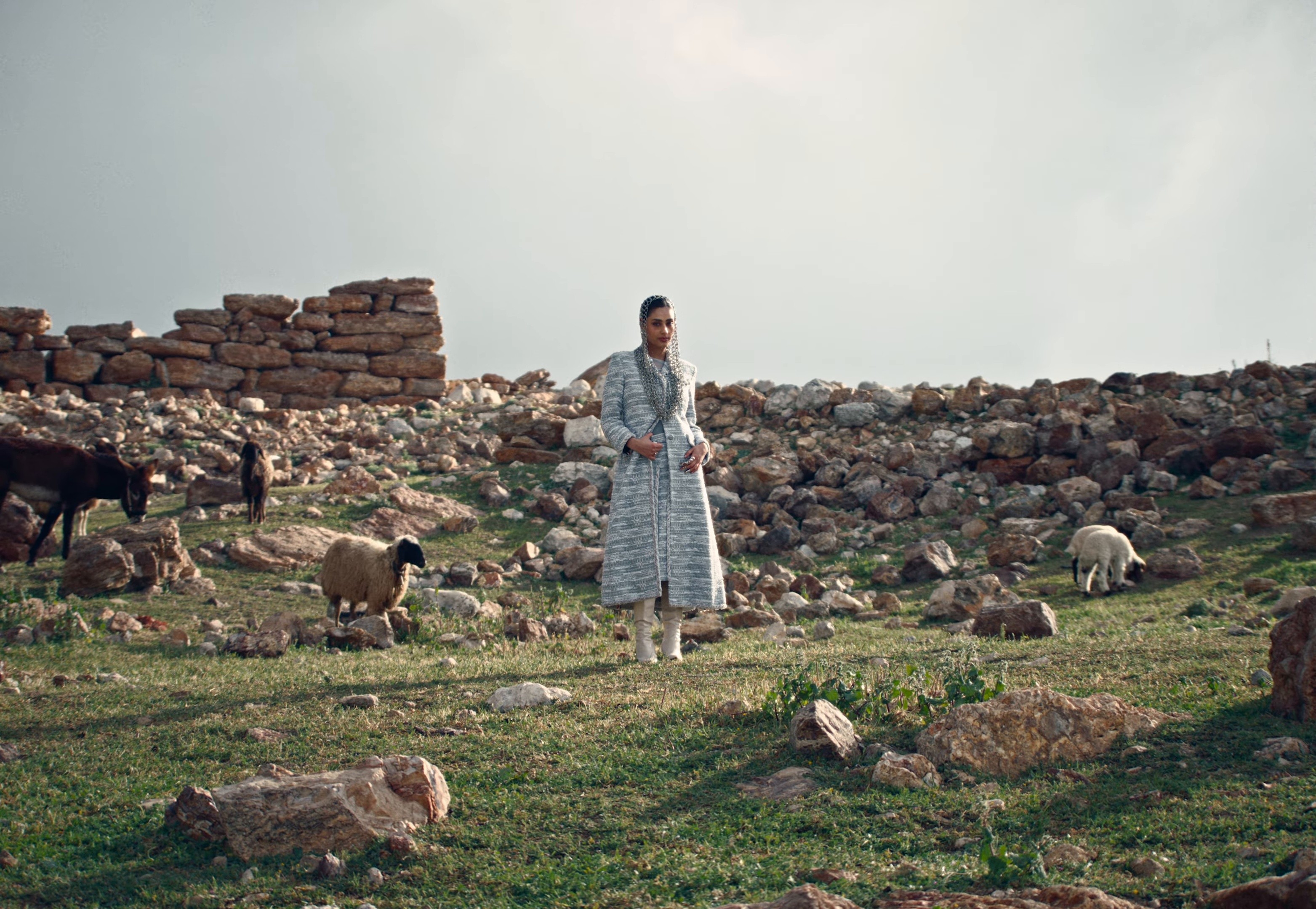 Hilwa  (2025) —  shot,  lighting