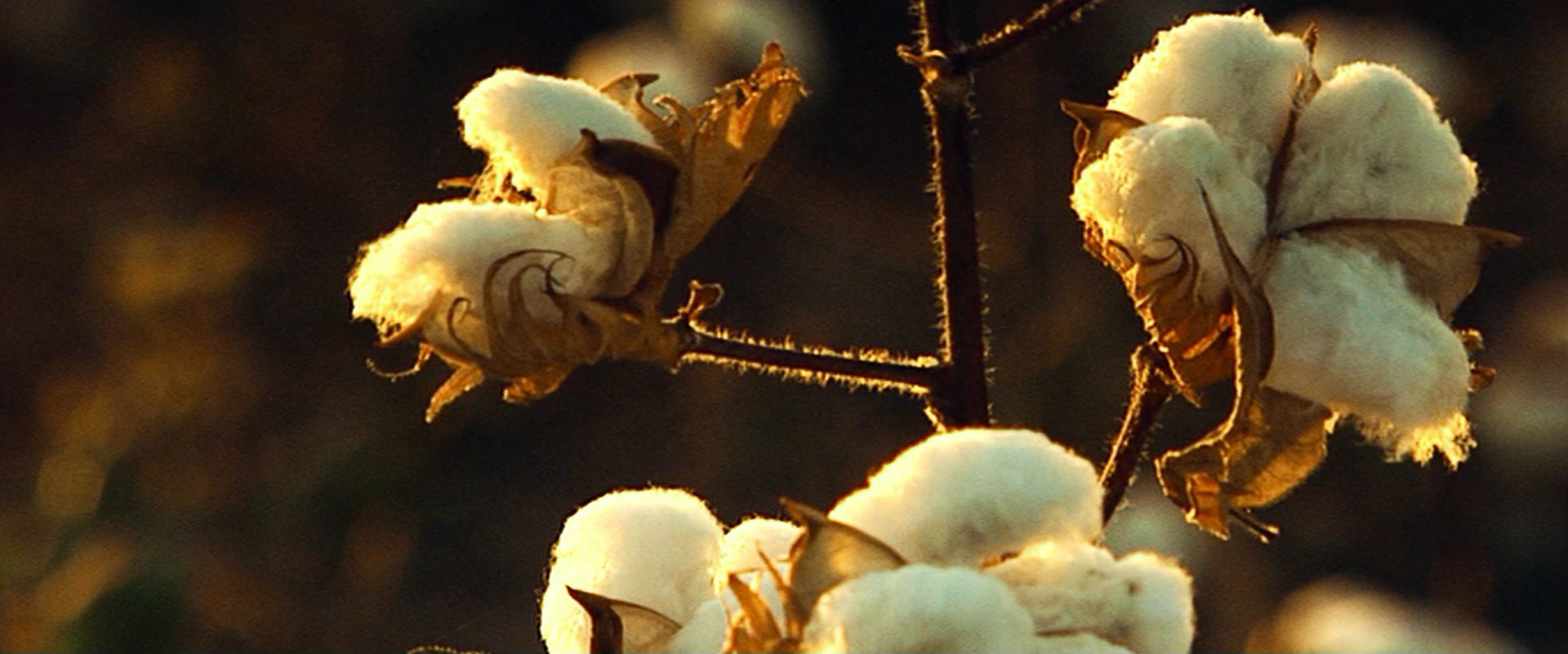 ATL (2006) —  shot,  lighting