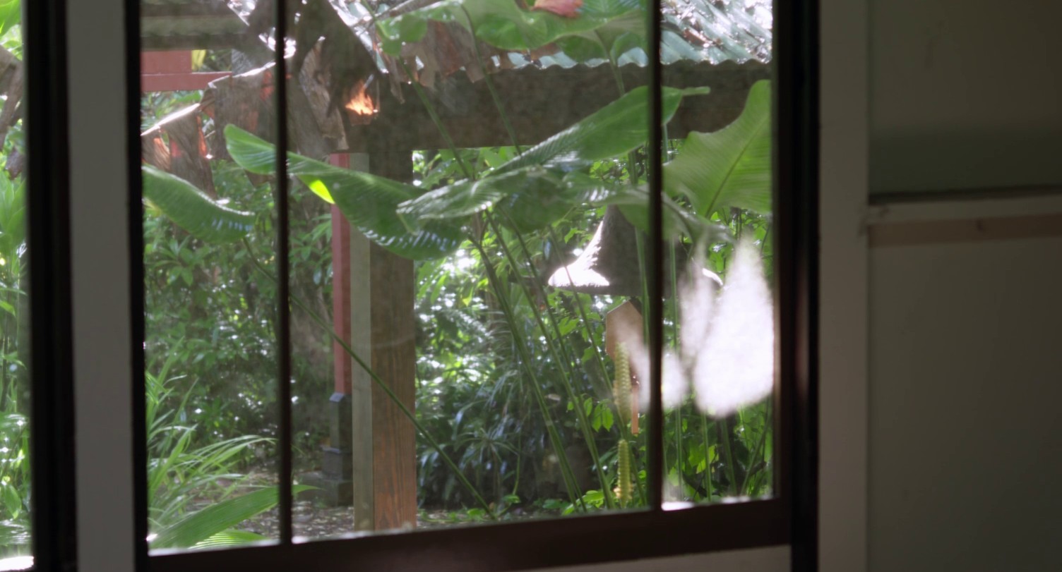 August at Akiko's (2018) —  shot,  lighting