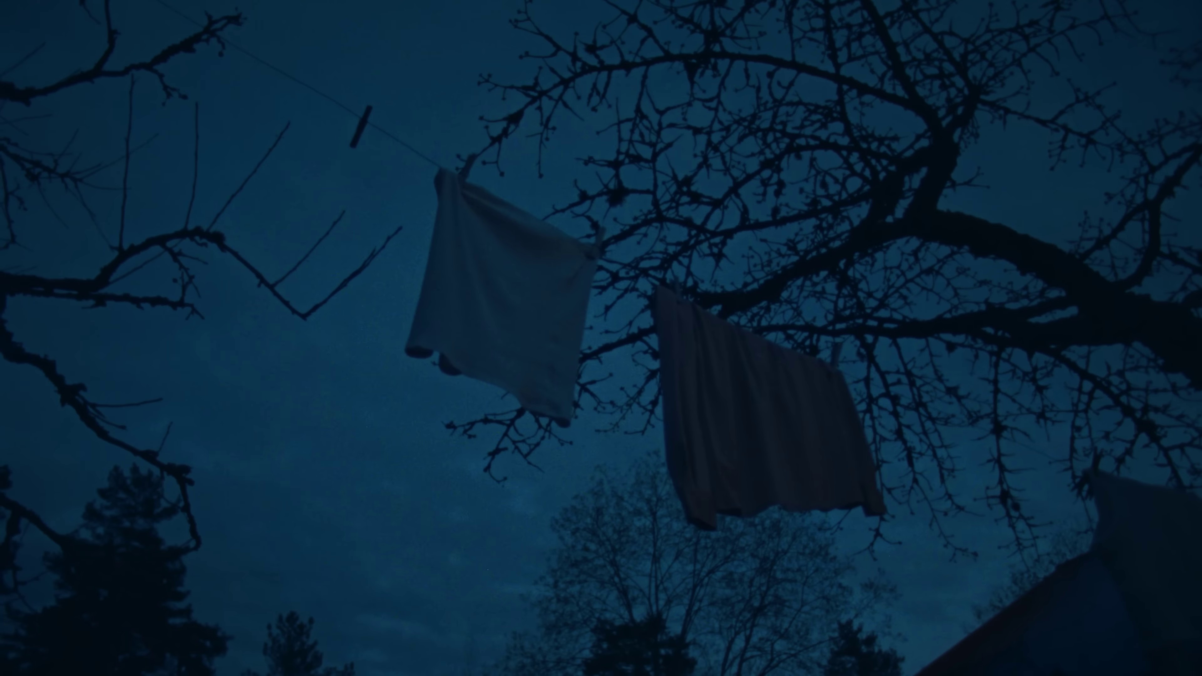 Queen of the Night (2024) —  shot,  lighting