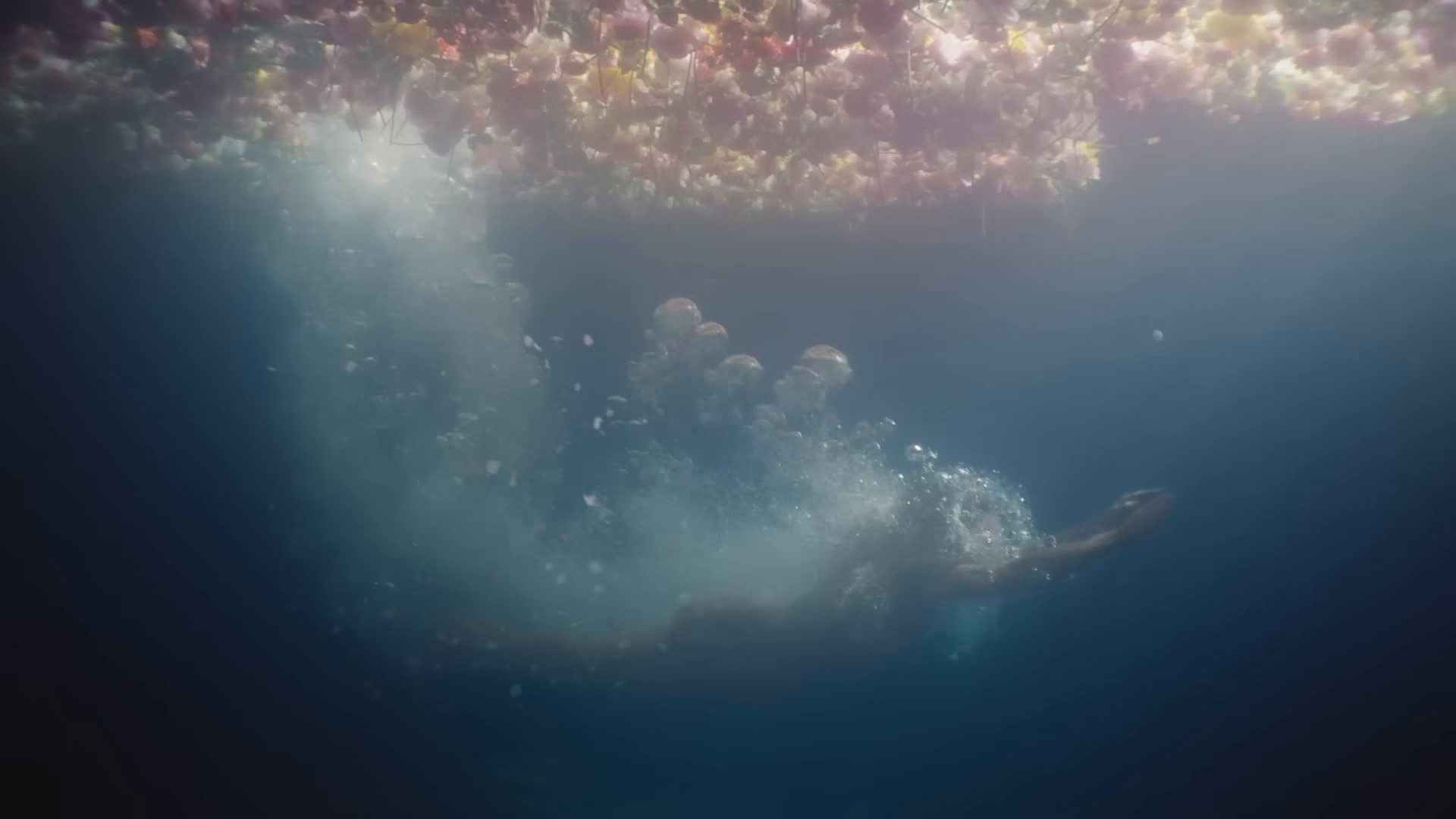 Miley Cyrus for Gucci Flora (2024) —  shot,  lighting