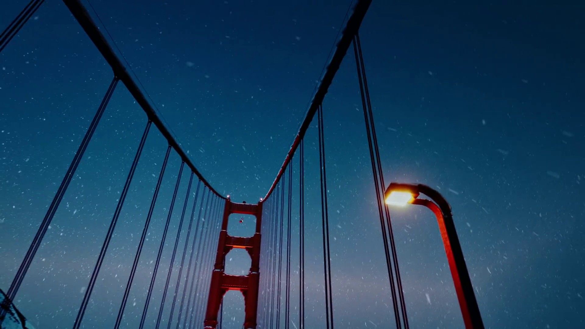 HOLIDAY  (2020) —  shot,  lighting