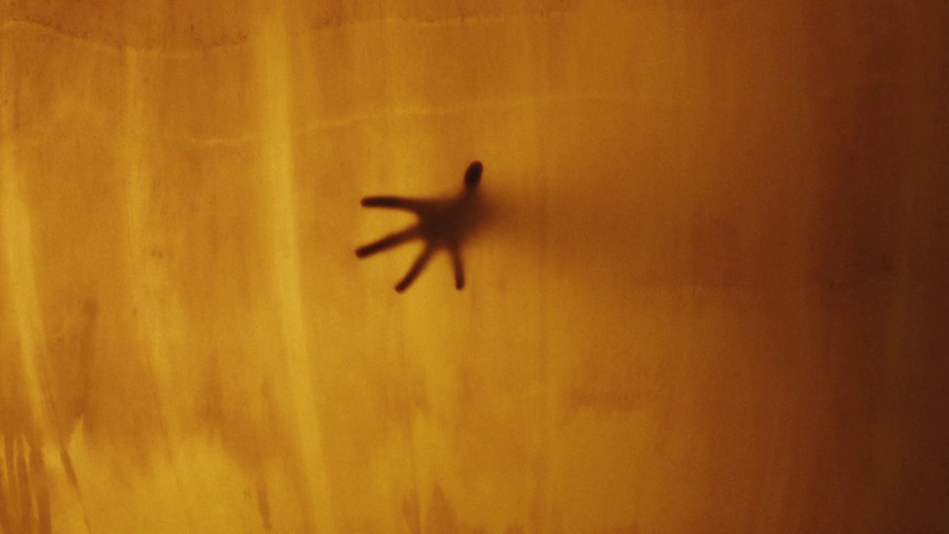 Him or her  (2022) —  shot,  lighting