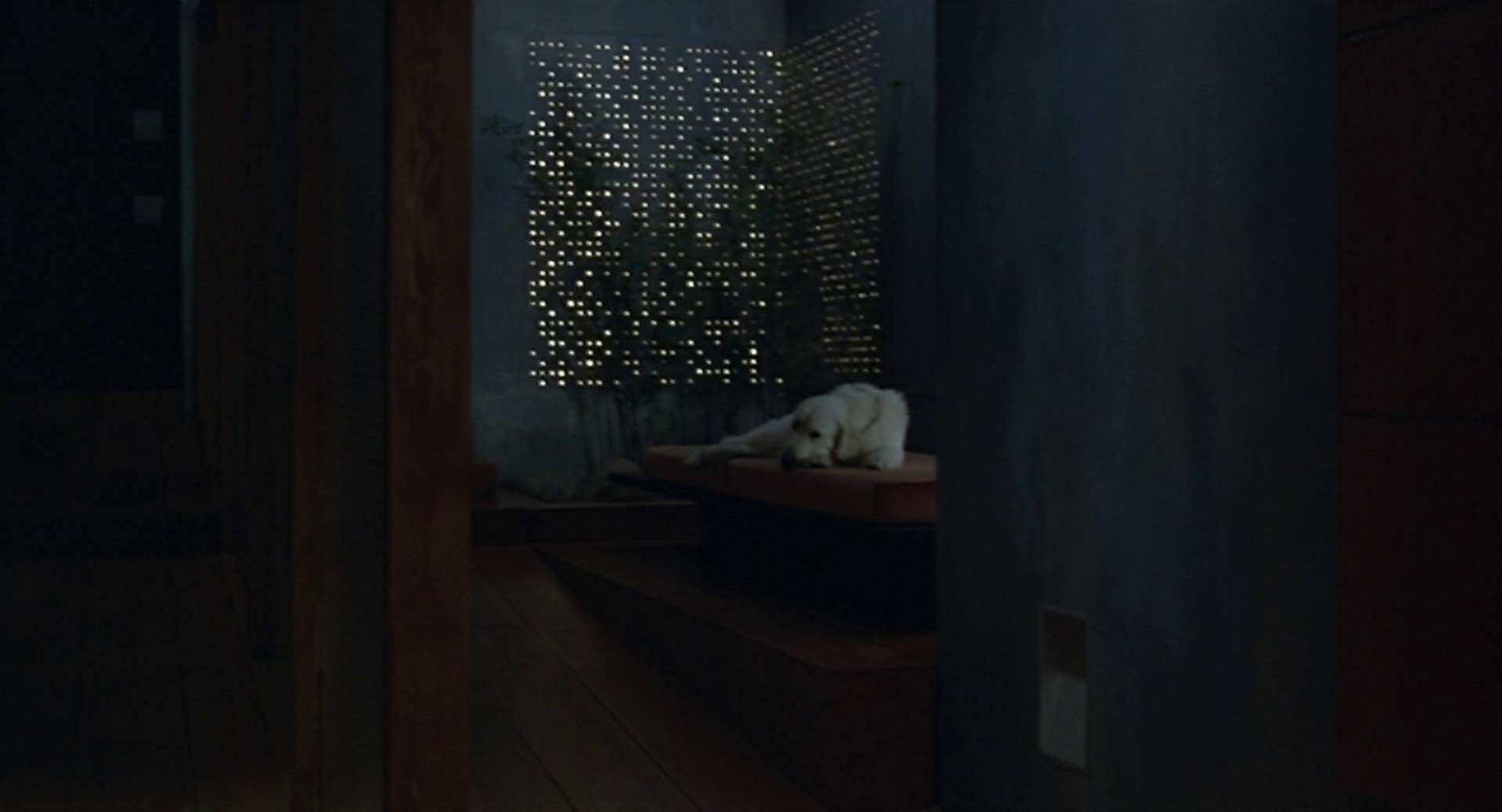 A Couch in New York (1996) —  shot,  lighting