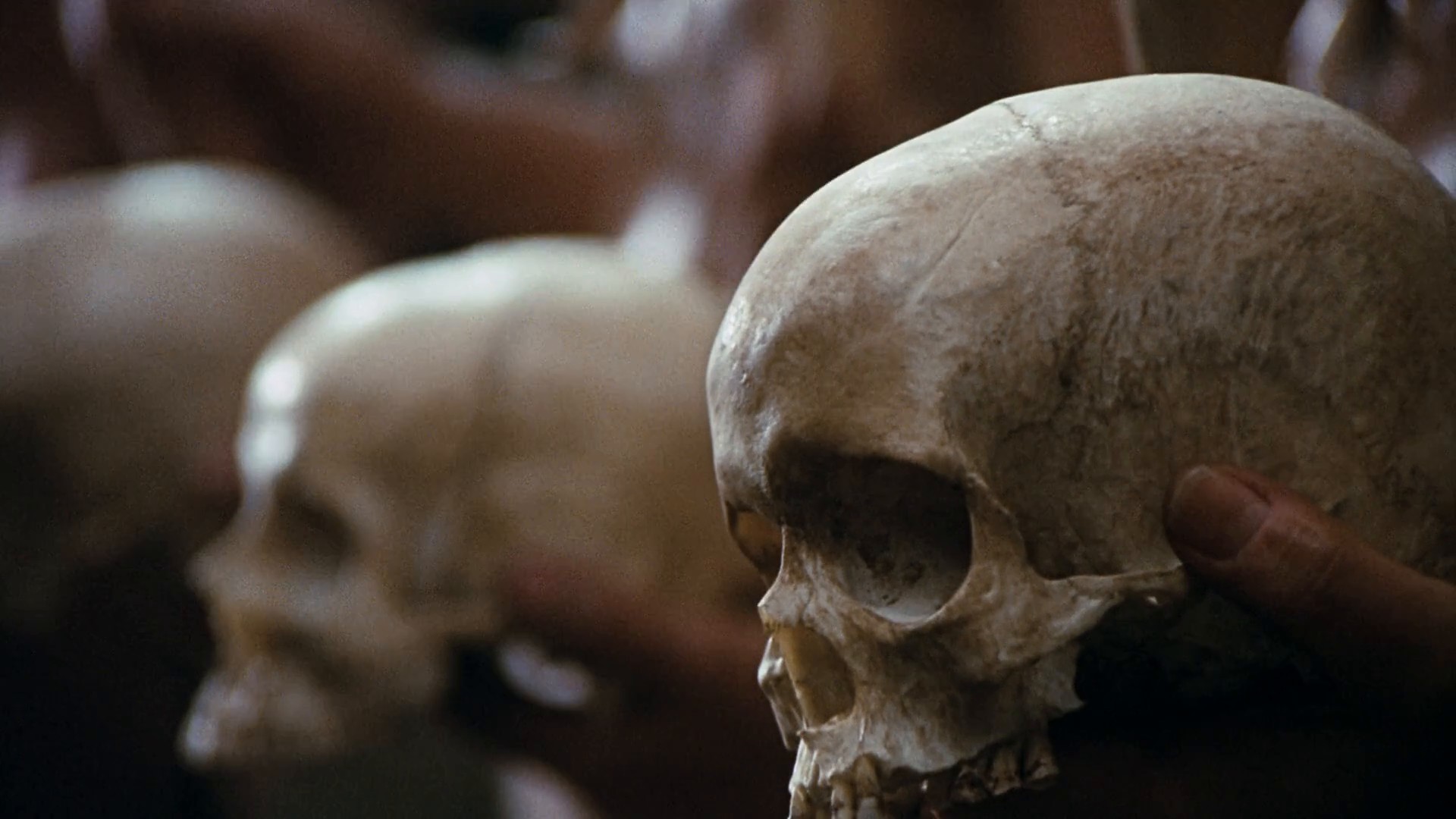 When Dinosaurs Ruled the Earth (1970) —  shot,  lighting