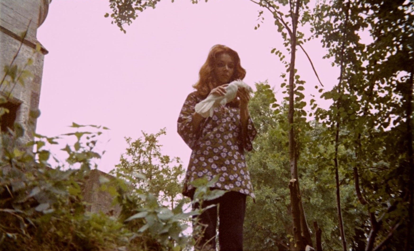 The Shiver of the Vampires (1971) —  shot,  lighting