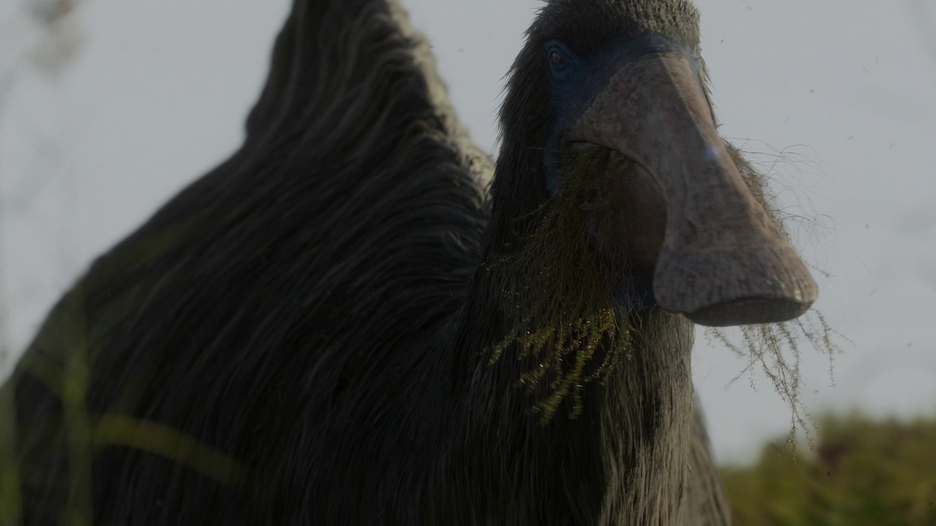 Islands (2023) —  shot,  lighting