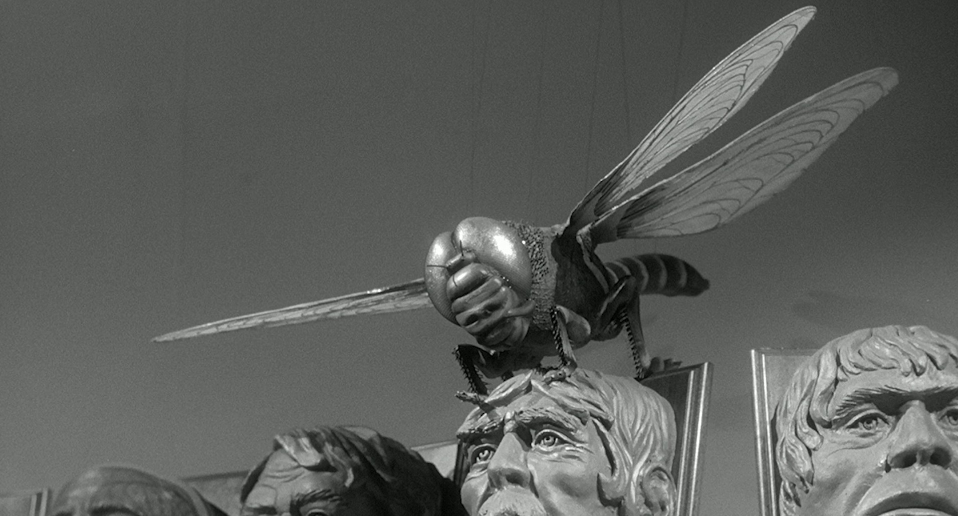Monster on the Campus (1958) —  shot,  lighting