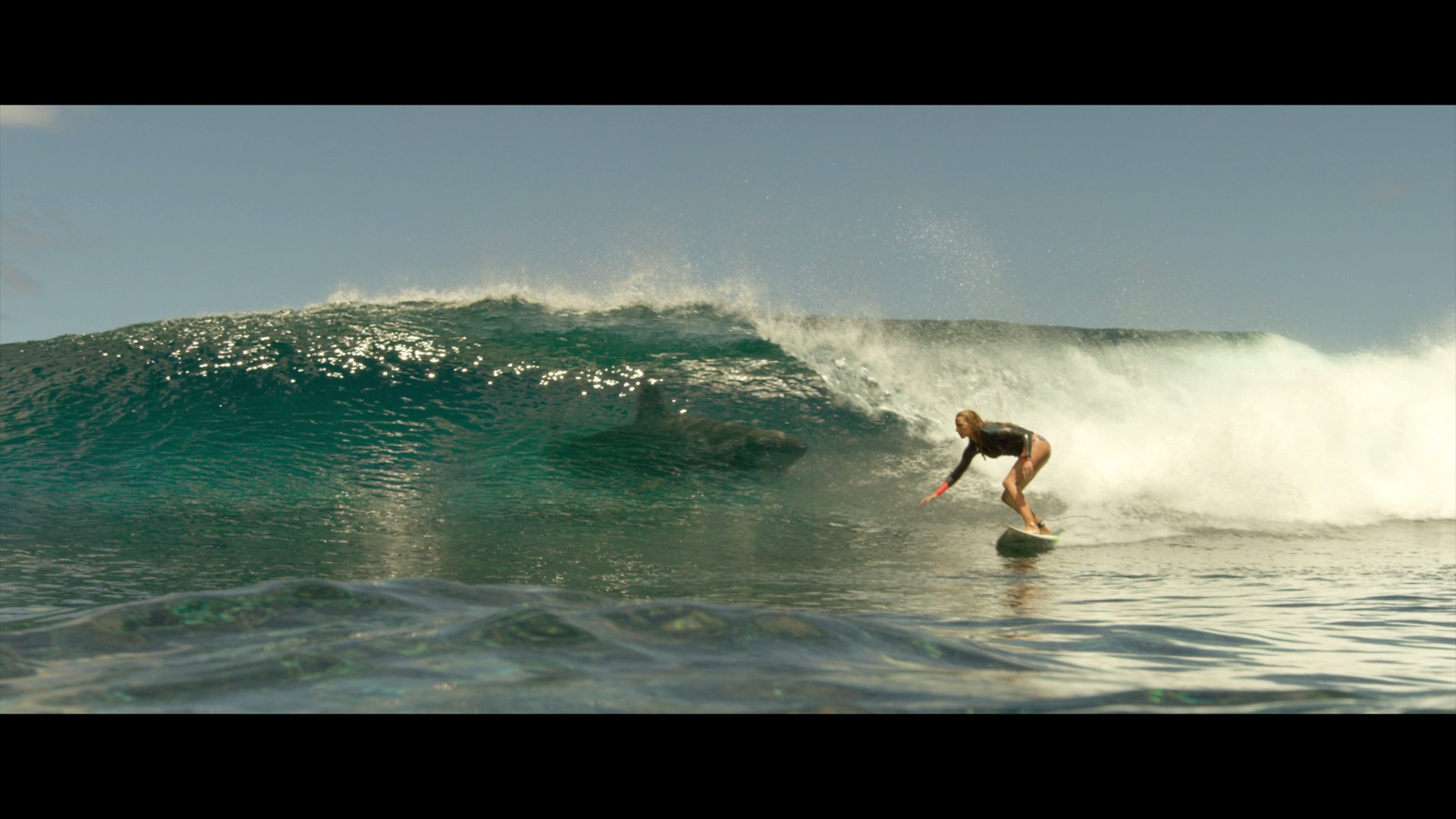 The Shallows (2016) —  shot,  lighting