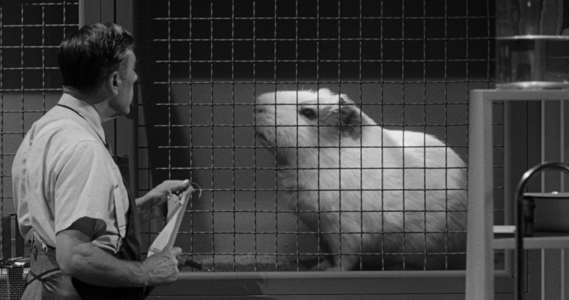 Tarantula (1955) —  shot,  lighting