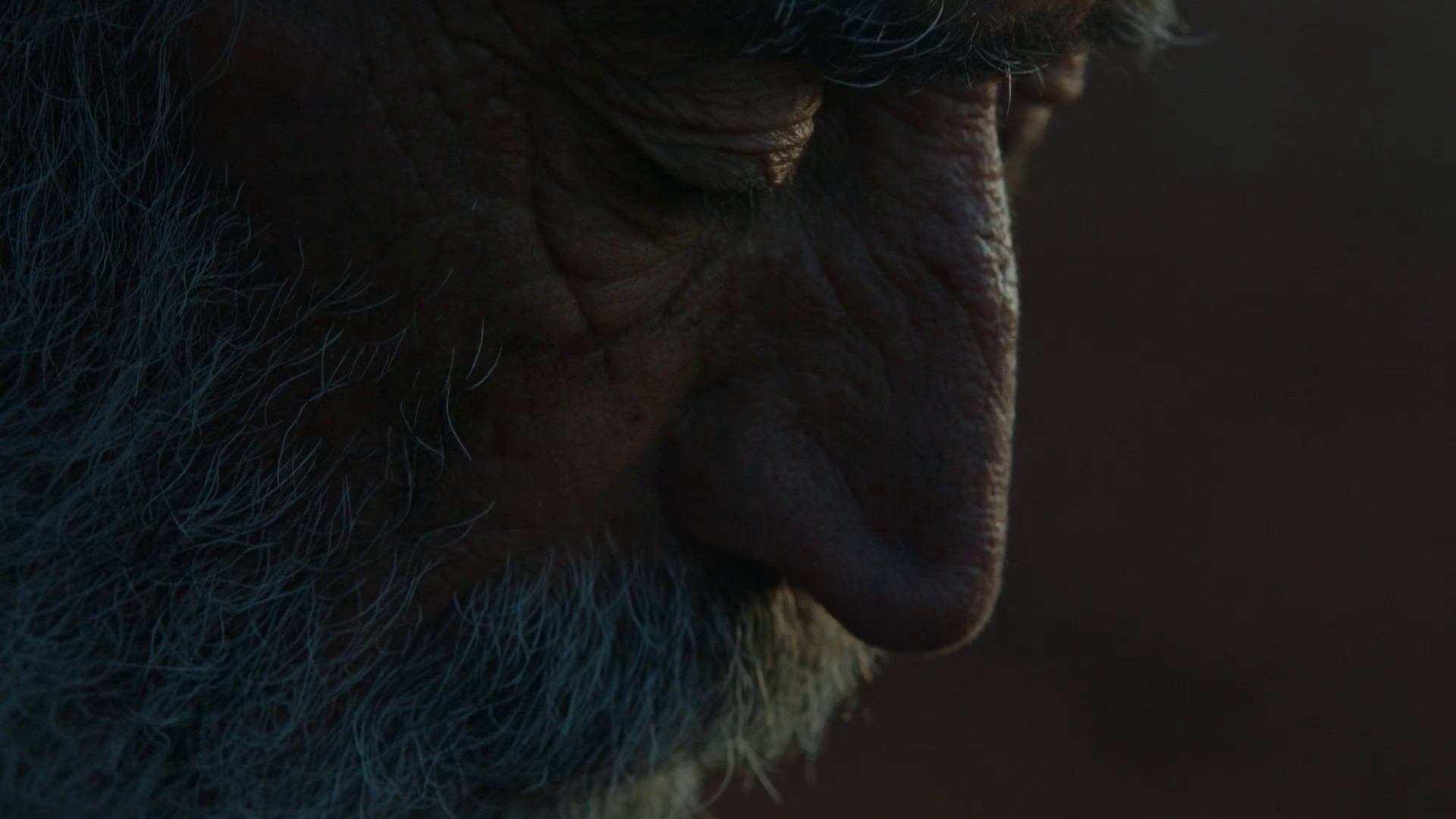 Heart Of Sky (2018) —  shot,  lighting