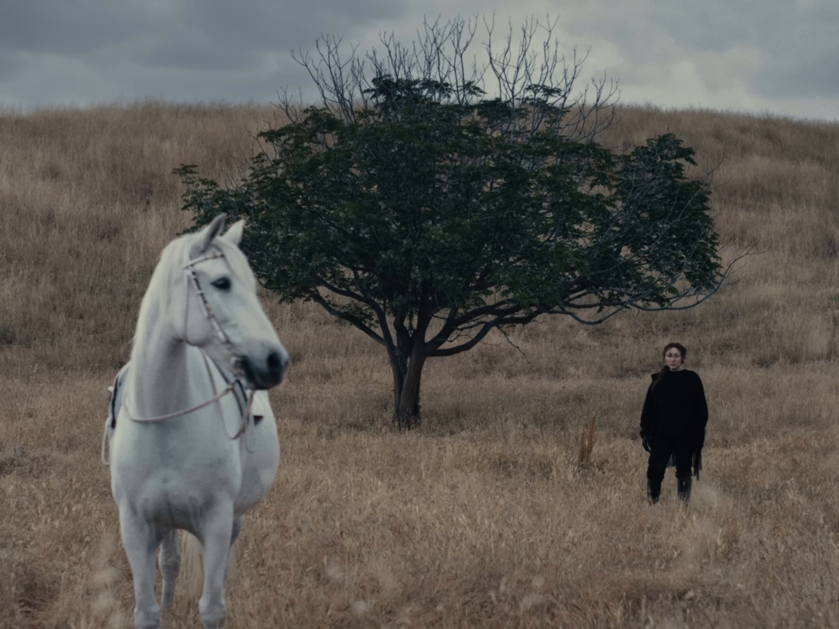 I Saw The Mountains (2025) —  shot,  lighting