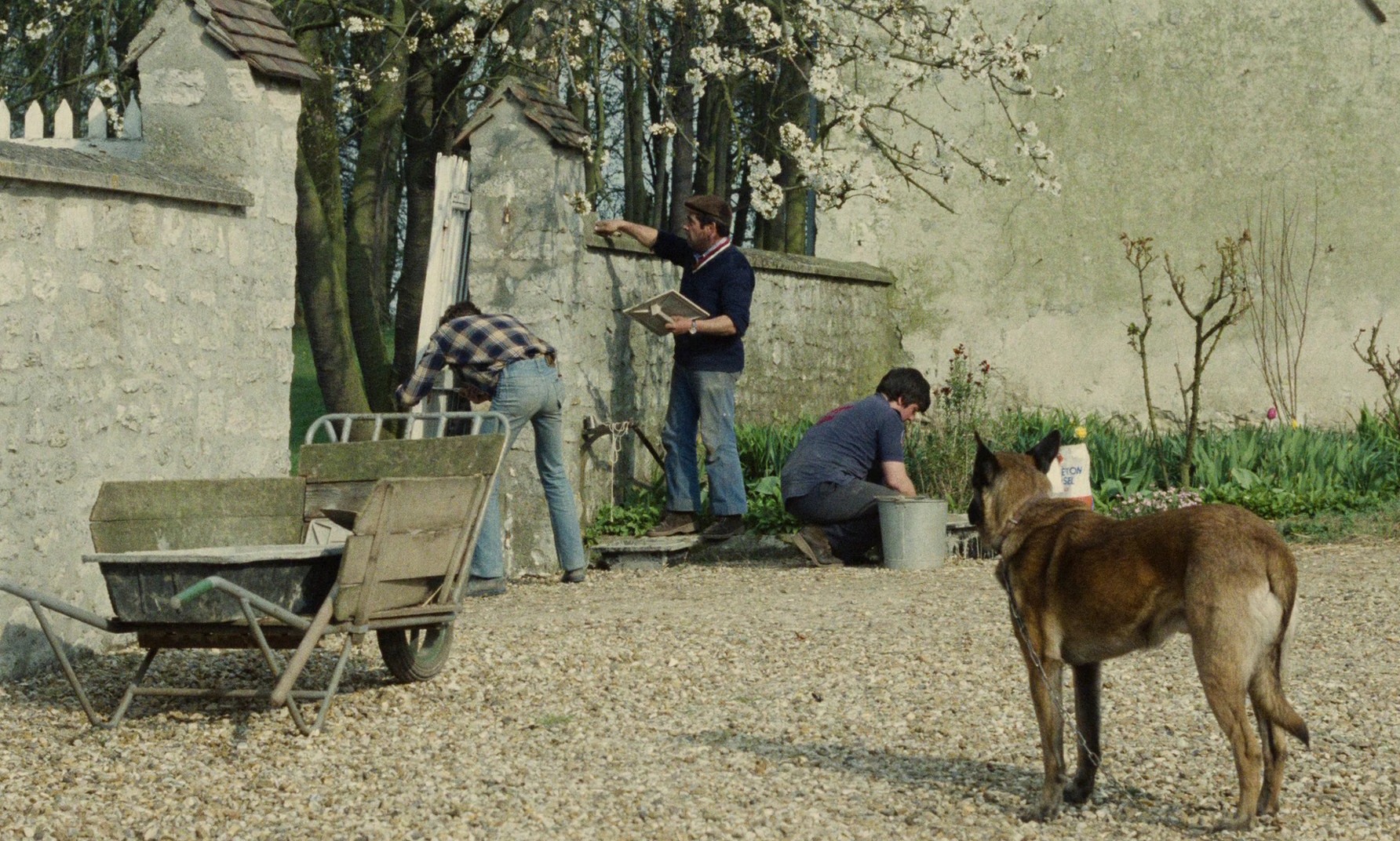 Le toubib (1979) —  shot,  lighting