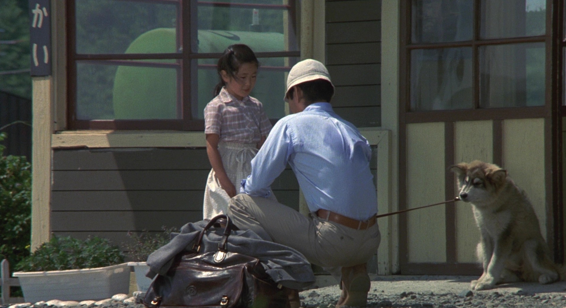 Eight Below (2006) —  shot,  lighting