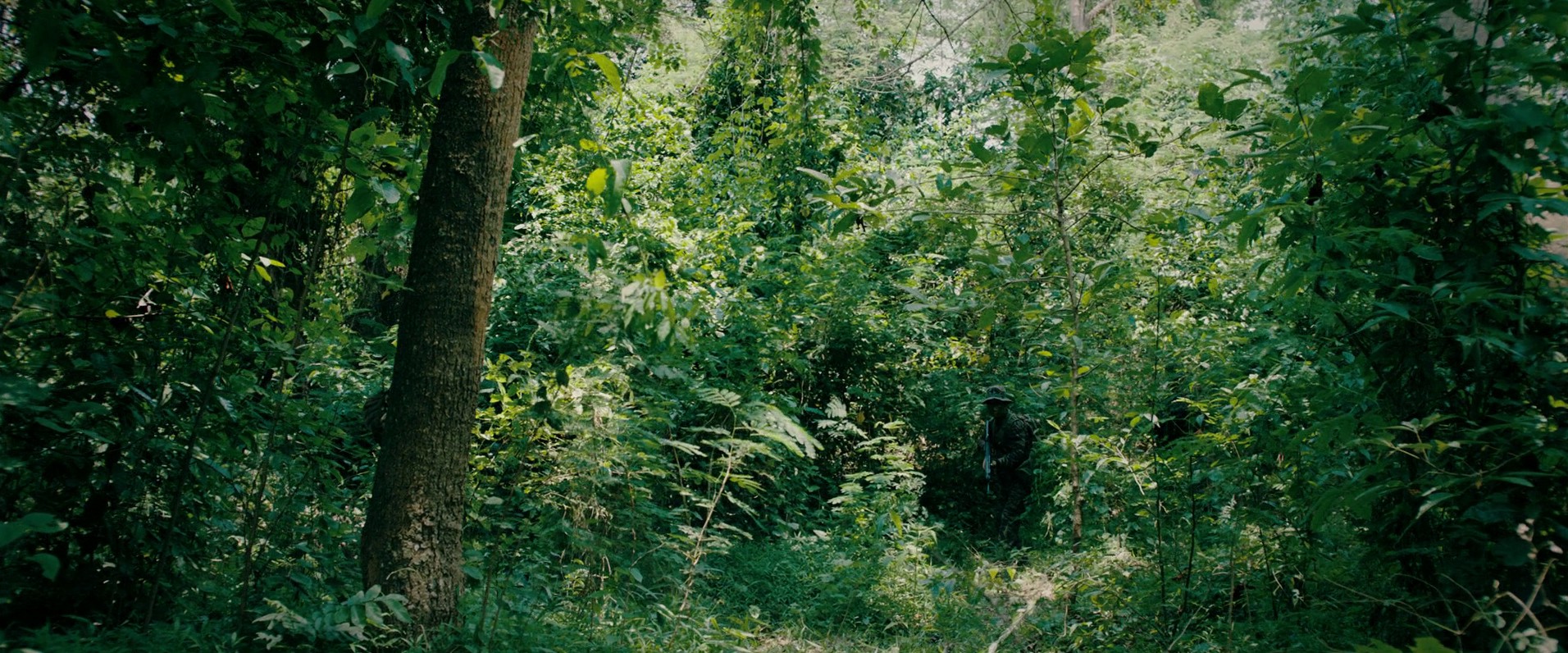 Triple Threat (2019) —  shot,  lighting