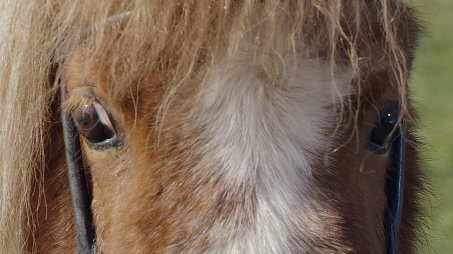 Our Eyes (2015) —  shot,  lighting